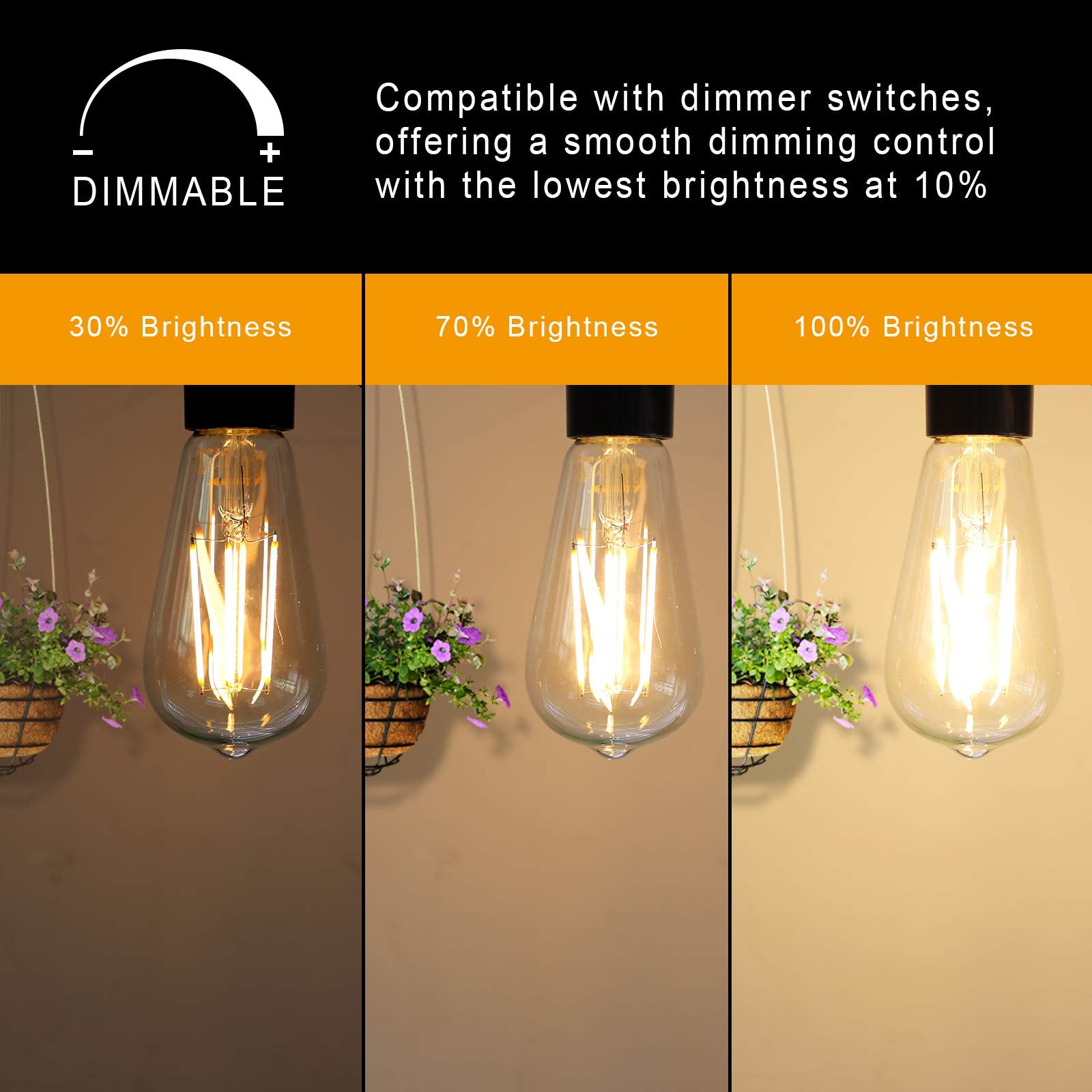 Ascher Vintage LED Edison Bulbs, 6W Equivalent, Warm White 2700K, Clear Glass, Pack of 6