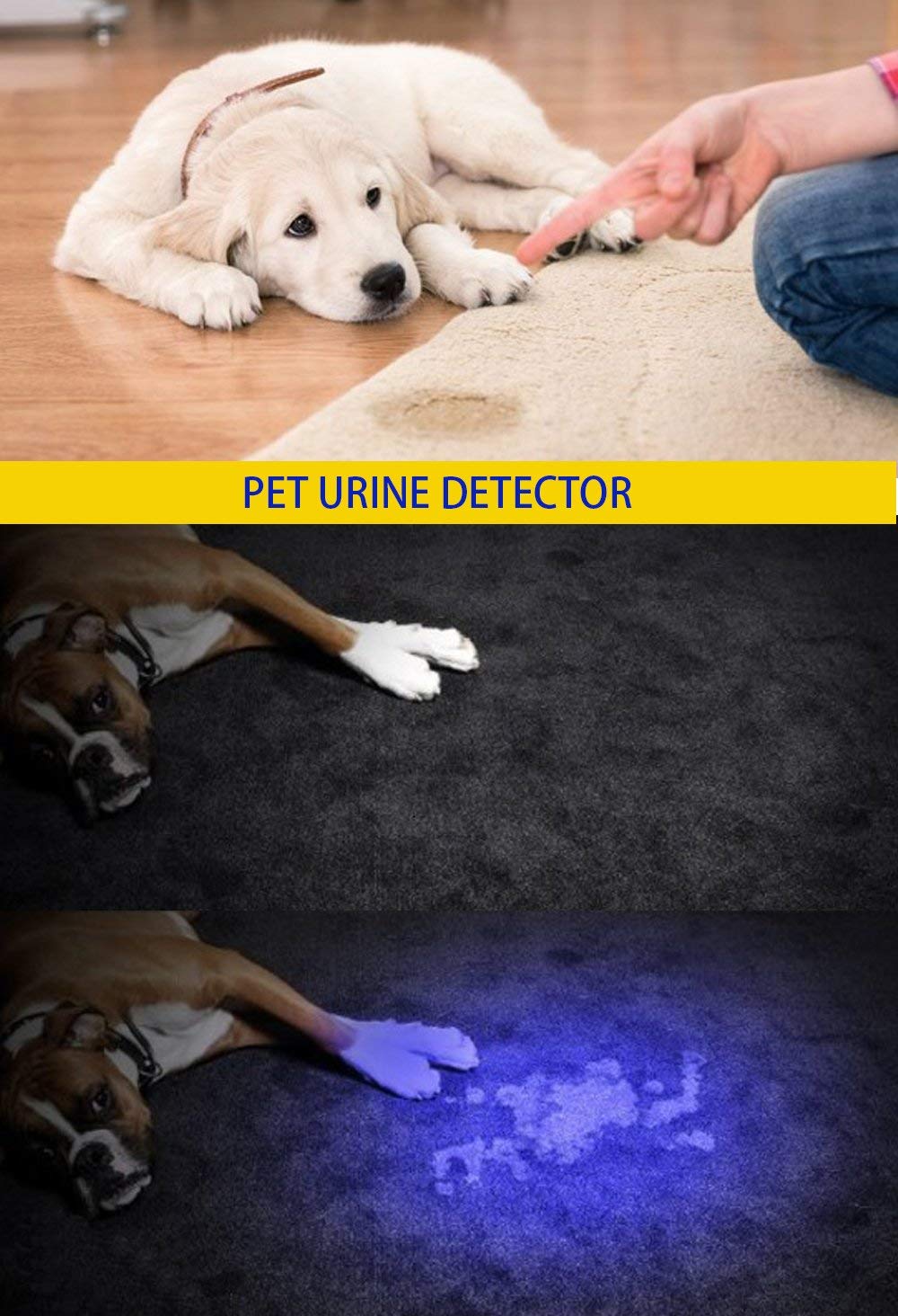 Darkbeam Uv 395Nm Flashlight Ultraviolet Led Light Blacklight Wood'S Lamp Portable 400Nm Mini Detector For Dog/Cat Urine Pet Sta