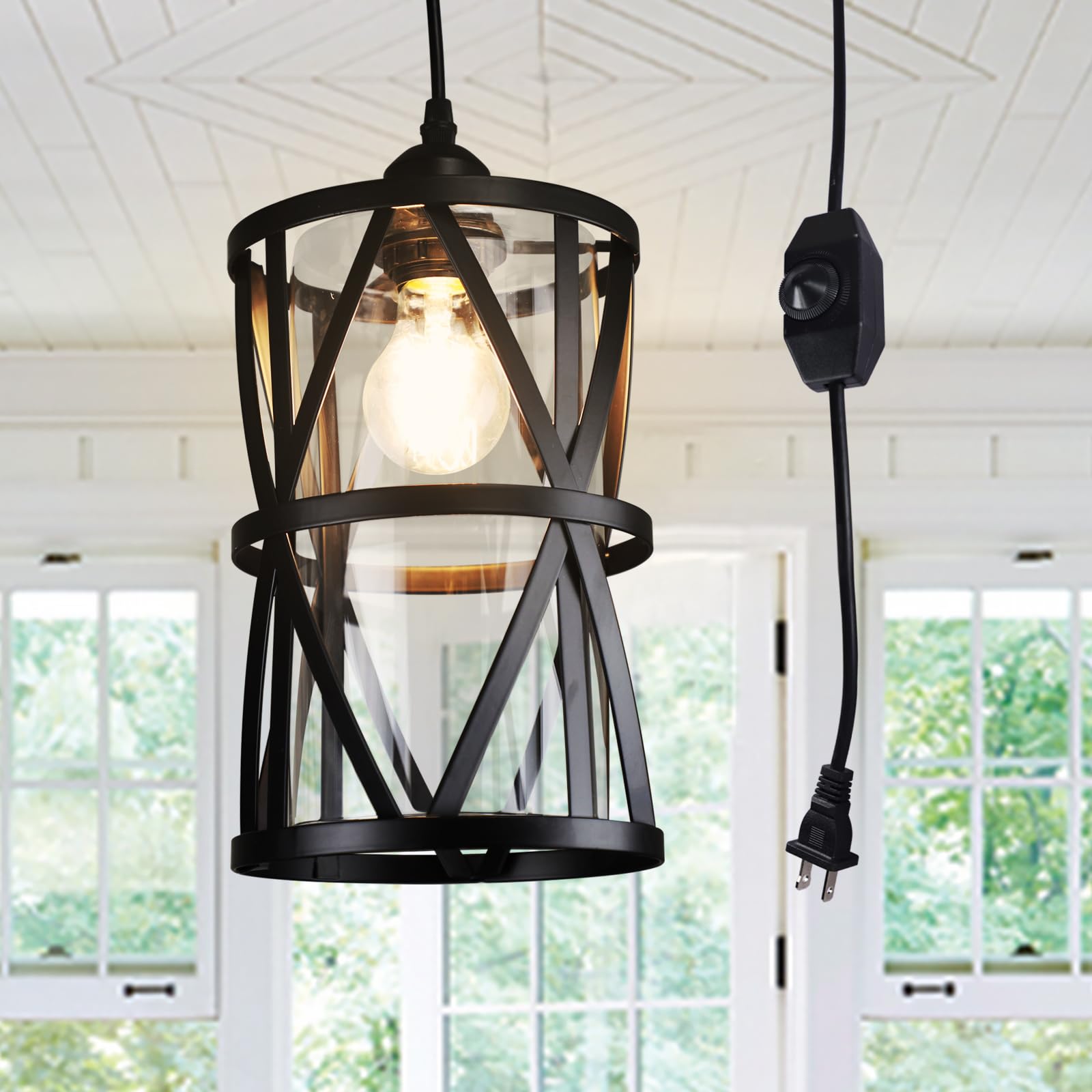 DLLT Industrial Plug in Pendant Light, Black Cage Glass Swag Lamp with Plug in Cord, Dimmable Hanging Light Fixtures for Kitchen