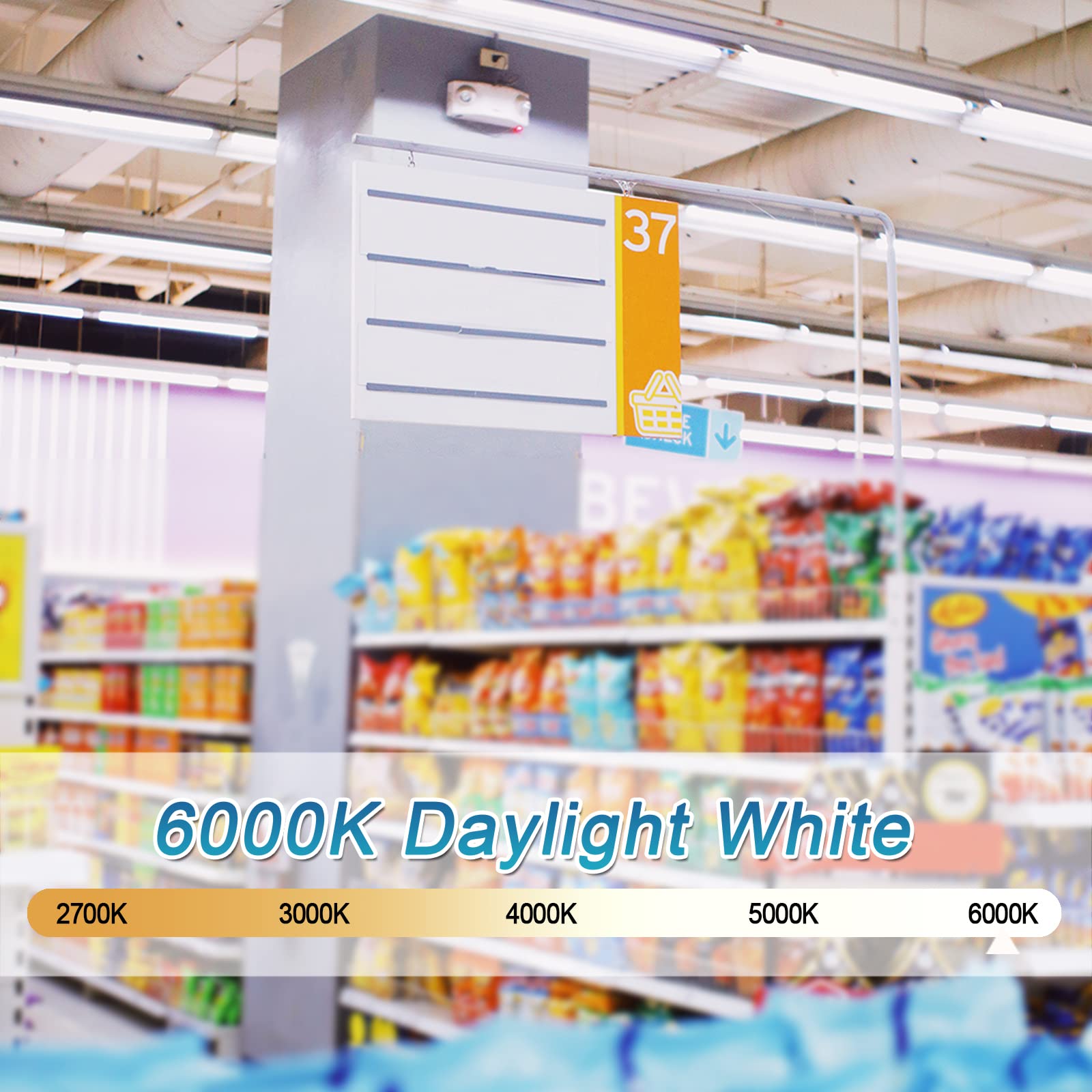 Marxlait 12 Pack T8 Led Bulbs 4 Foot, 24W 3000Lm, 6000K Daylight, Ballast Bypass, Dual Ended Powered Type B Light Bulbs, Led Flu