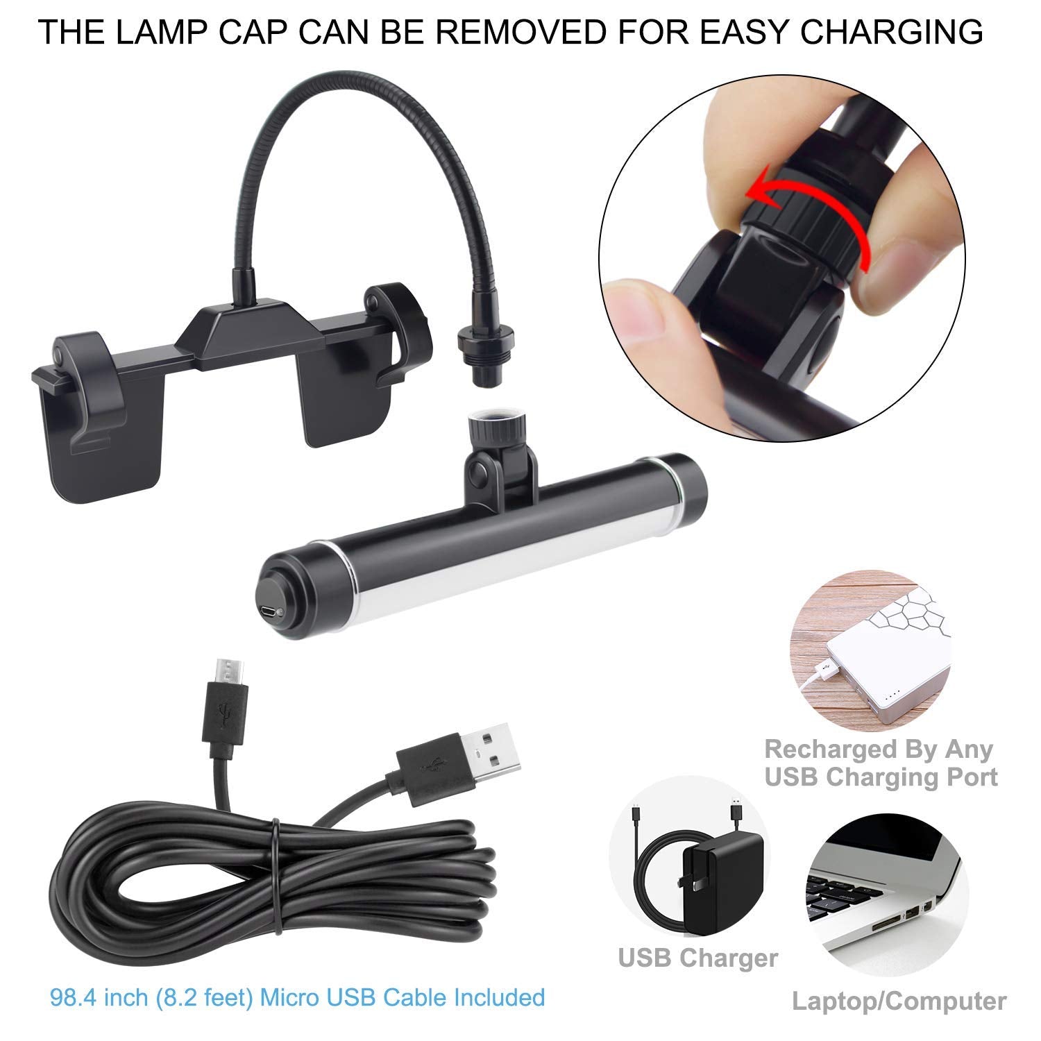 LUXSWAY Wireless Picture Frame Light, Rechargeable LED Art Display with Remote, Flexible Neck, Black, Model DY600YW-1