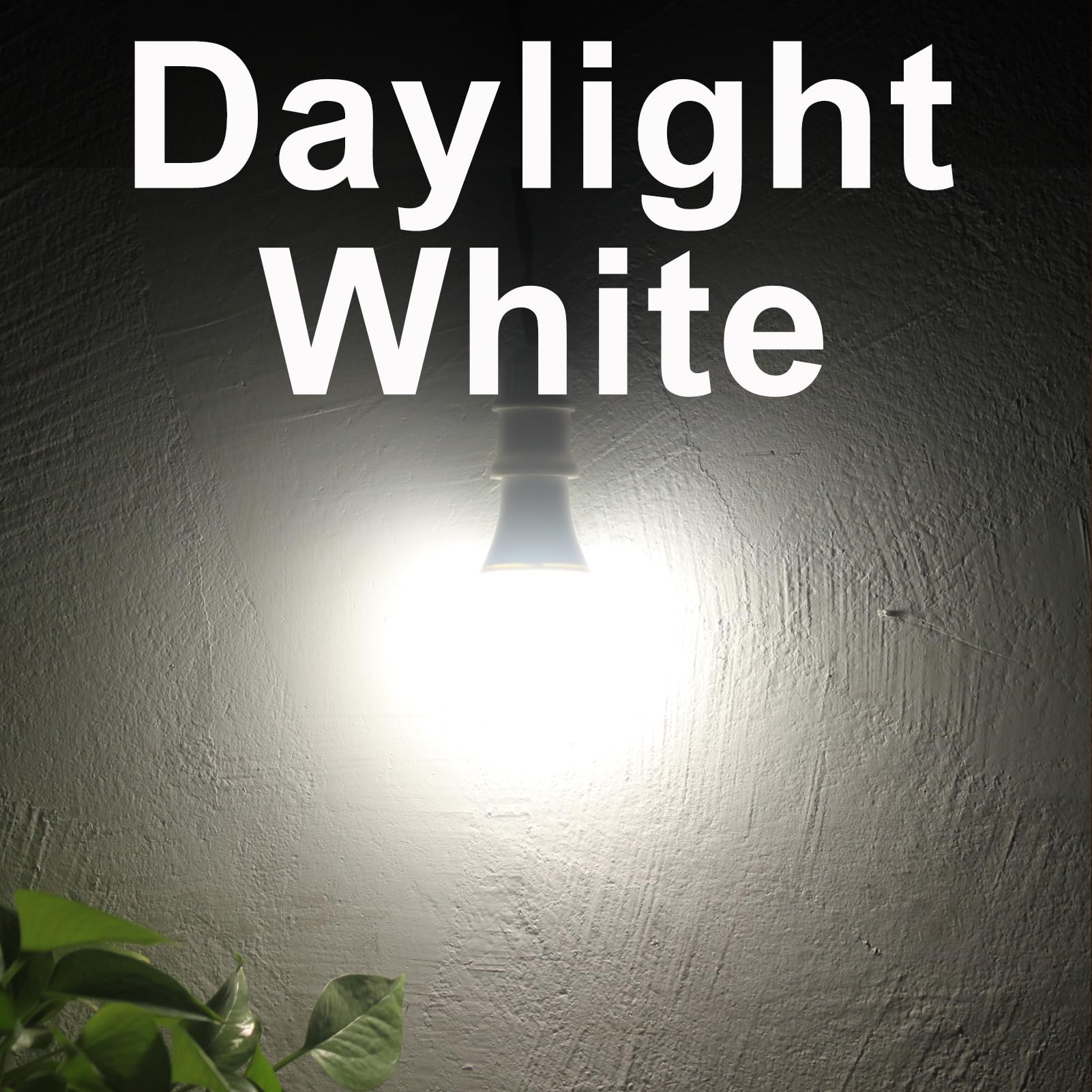 Qualilux MR16 GU10 LED Light Bulbs 6W, Daylight 5000K, Auto On/Off, Non-Dimmable, 4-Pack