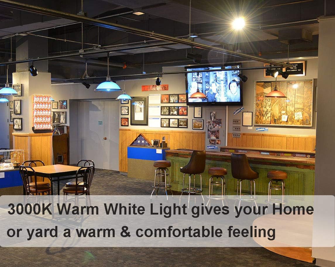 Vinaco Par30 Long Neck Halogen 60W 120V, Long Lasting 6 Pack Par30L Flood Light Bulb, Par30 Dimmable, High Output 1000Lm With Pa