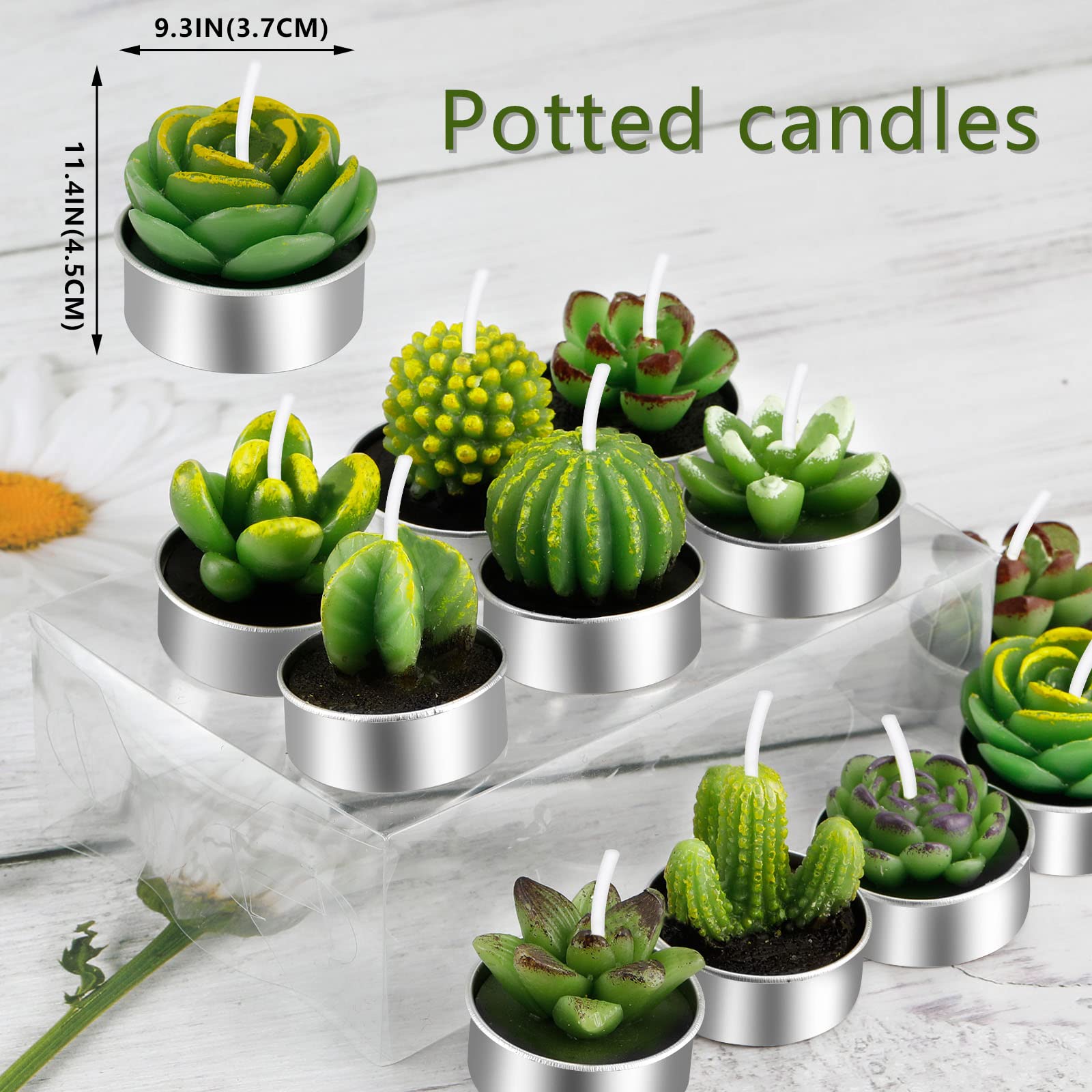 Outee 12 Pcs Cactus Tealight Candles Handmade Delicate Succulent Candle Cactus Candles Smokeless Aromatherapy Mini Candles Tea L