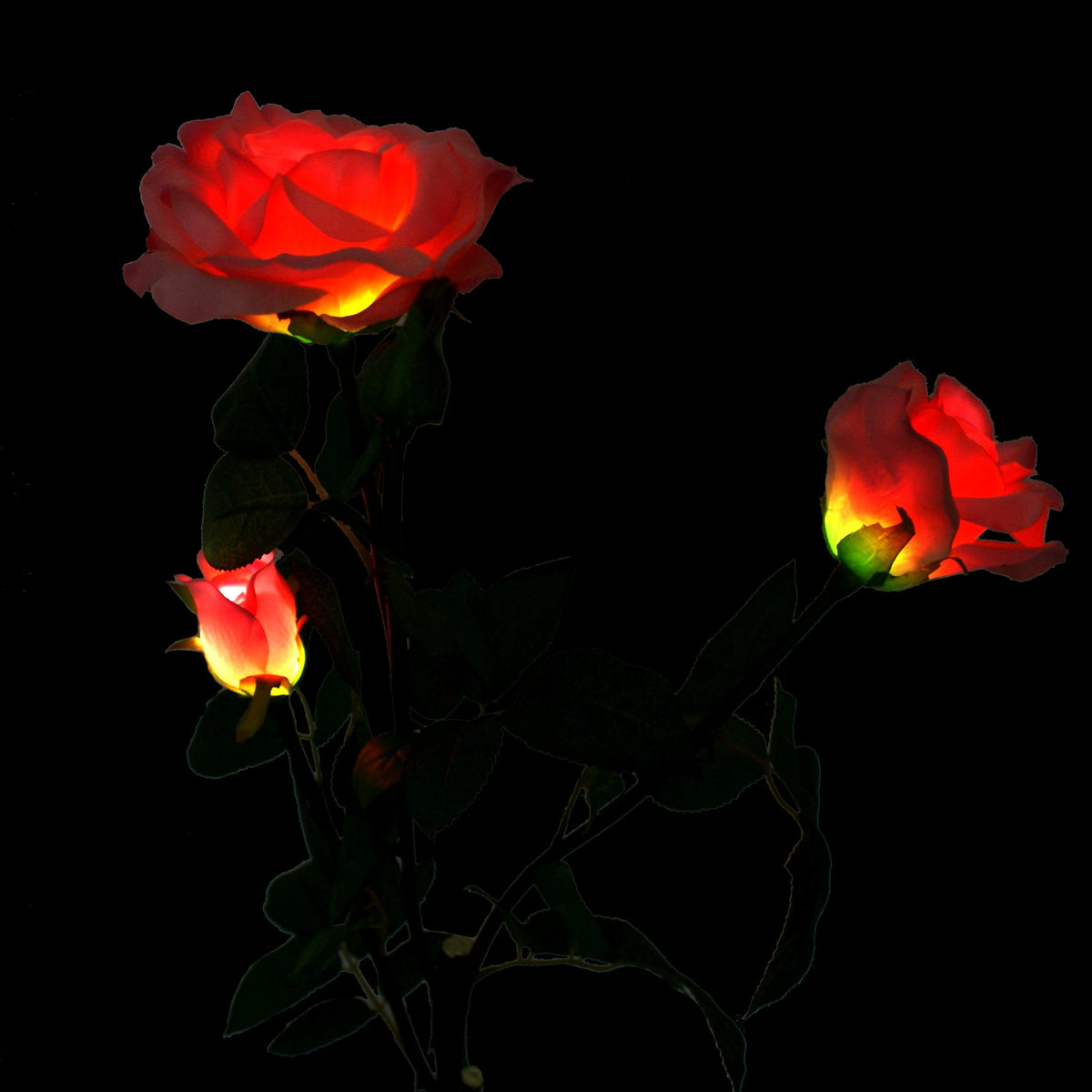 Solaration Solar Pink Rose Flower Lights Outdoor Decorative Lights Yea ...