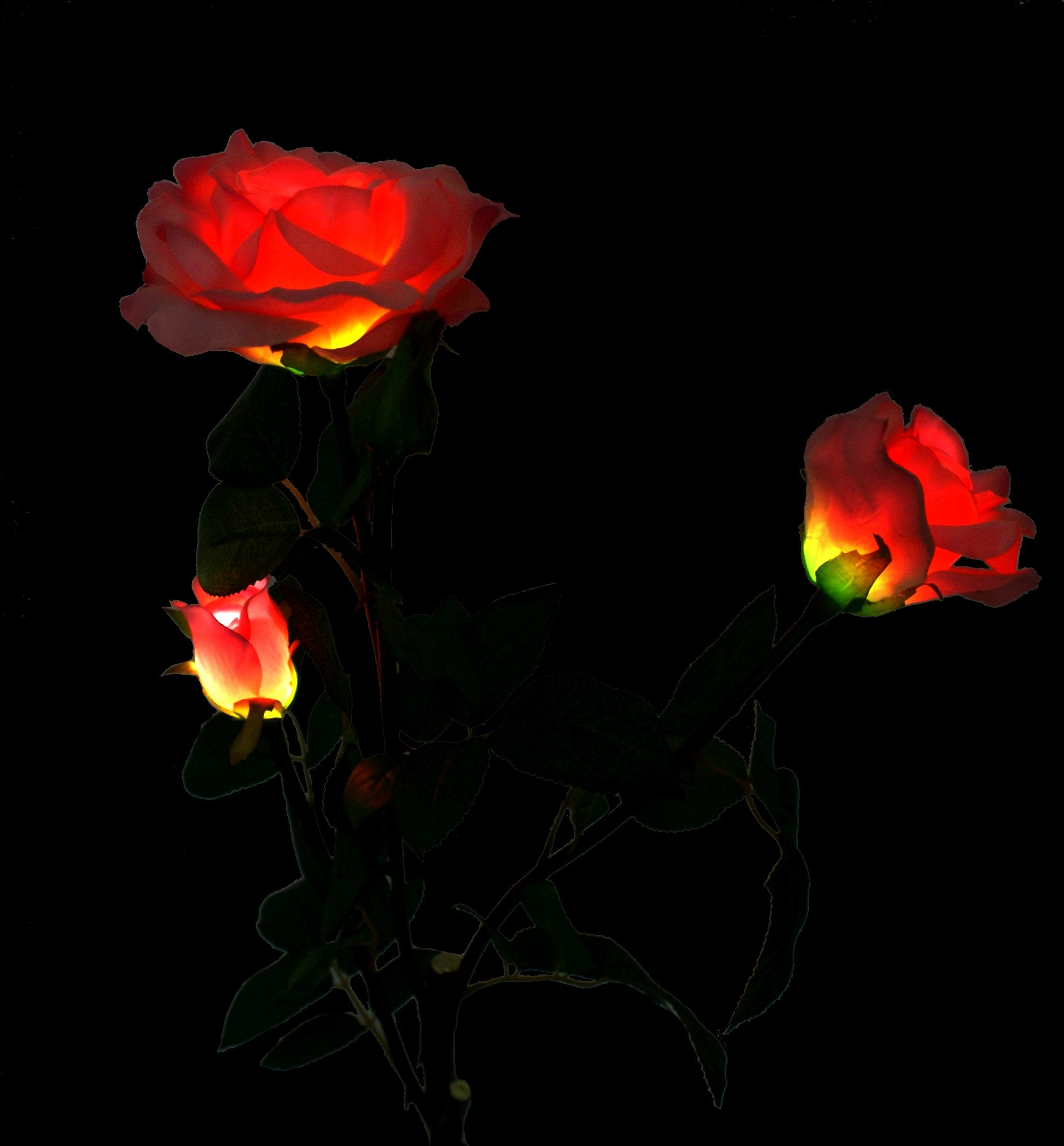 Solaration Solar Pink Rose Flower Lights Outdoor Decorative Lights Year-Round, Great Gift!