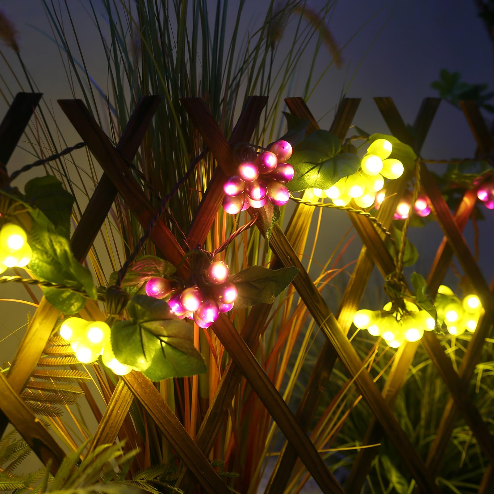 LIDORE Grape Vine String Lights, 100 LED, Purple & Green Grapes, Brown Cord, Model LD-TAOKE-10L, Ideal for Home & Kitchen Decoration