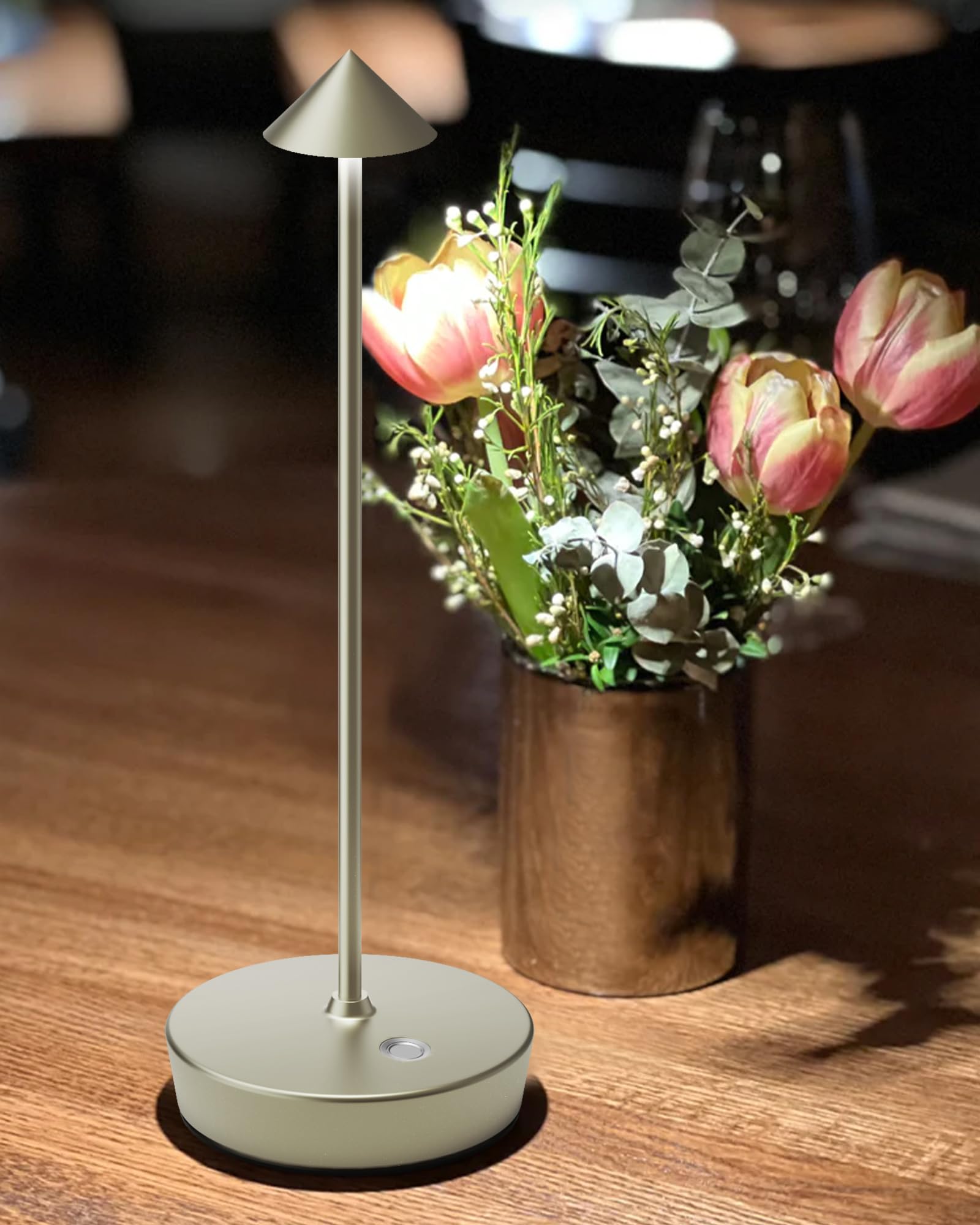 SHANGCAI Cordless Table Lamps, Rechargeable LED Desk Lamp, Waterproof, Touch Dimmable, Set of 2, Small, Silver