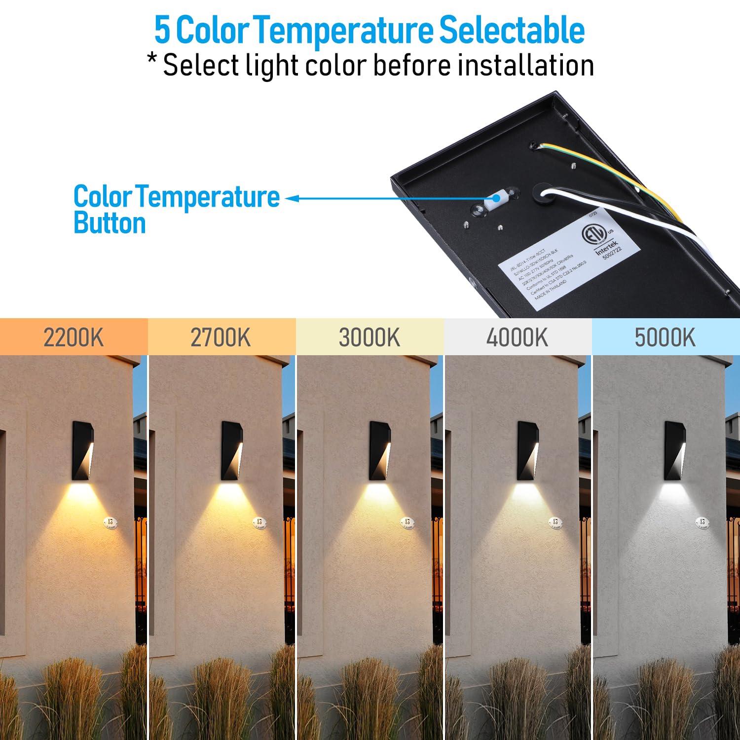 LEONLITE 5CCT Dimmable LED Outdoor Wall Light, 14 Inch, 1000LM, IP65, Dark Sky, Aluminum Sconce, Pack of 2