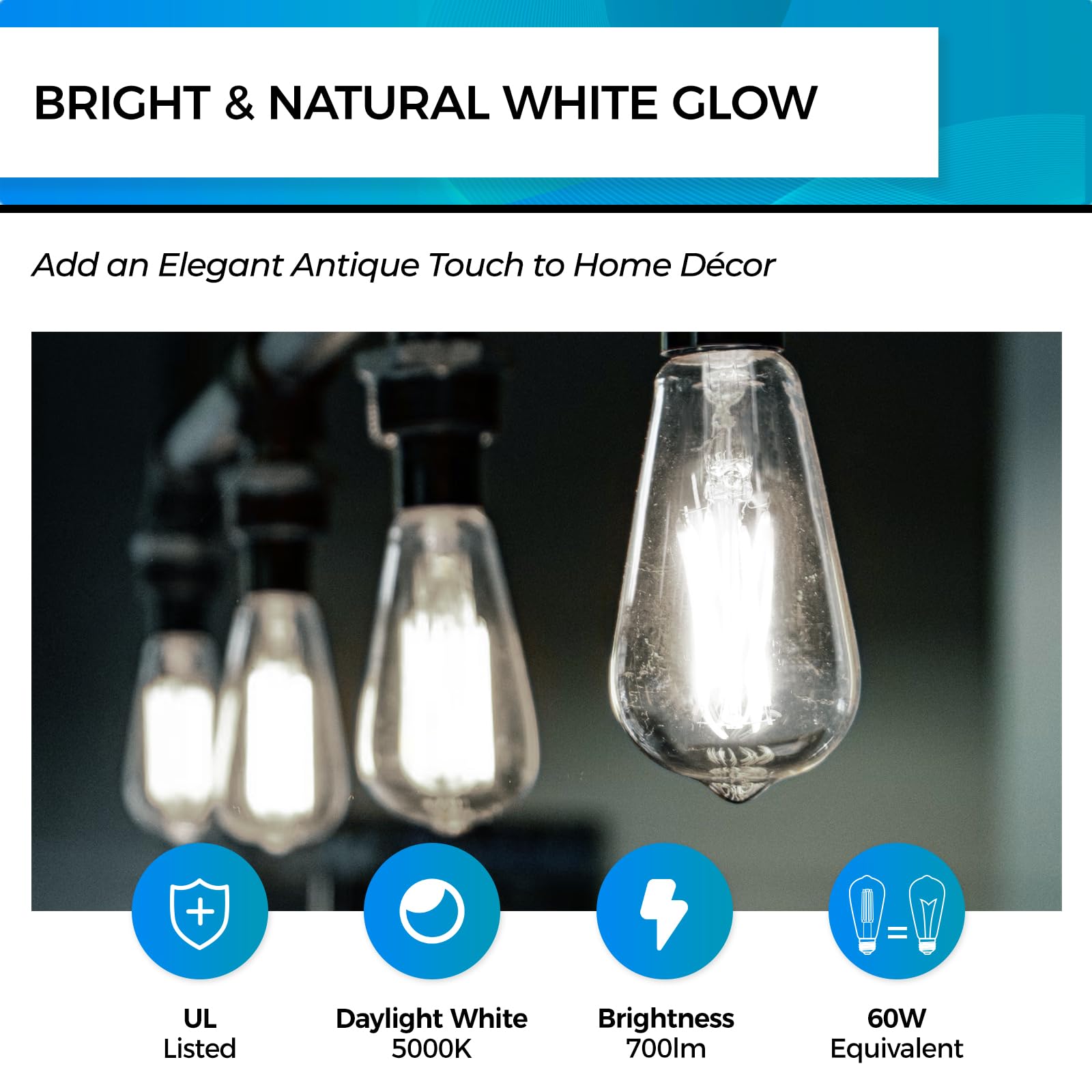 Hizashi LED Edison Bulbs, Dimmable E26, 6W Equivalent to 60W, 700 Lumens, Daylight 5000K, Clear Glass, Pack of