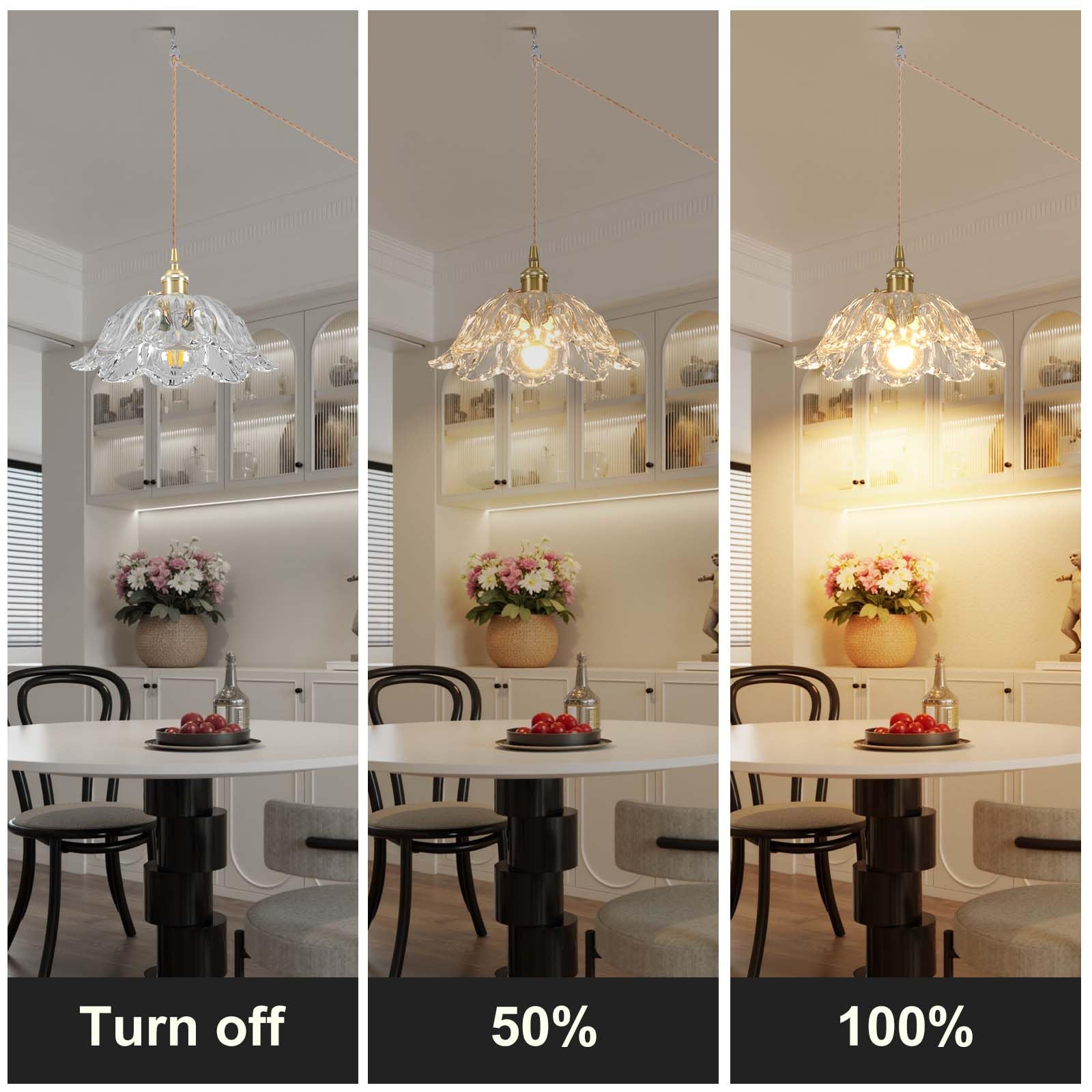 Loiogohot Plug In Pendant Light Fixtures Hanging Light Fixture Transparent Glass Pendant Light 10.6In E26 Pendant Lighting For Kitchen Island  Bedroom  Dining Room  Living Room