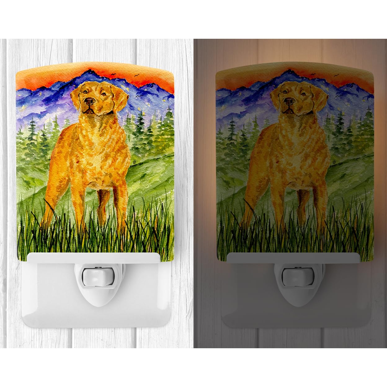 Carolines Treasures Ceramic Night Light, Chesapeake Bay Retriever, 6x4x3in, UL-Certified, Ideal for Bedroom, Bathroom, Nursery