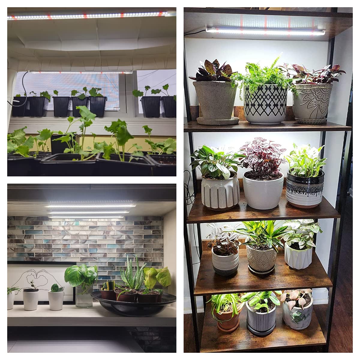 Wiaxulay Led Plant Grow Light Strips, 6000K Full Spectrum Grow Lights For Indoor Plants, Sunlike Growing Lamp With 6/12/16H Time