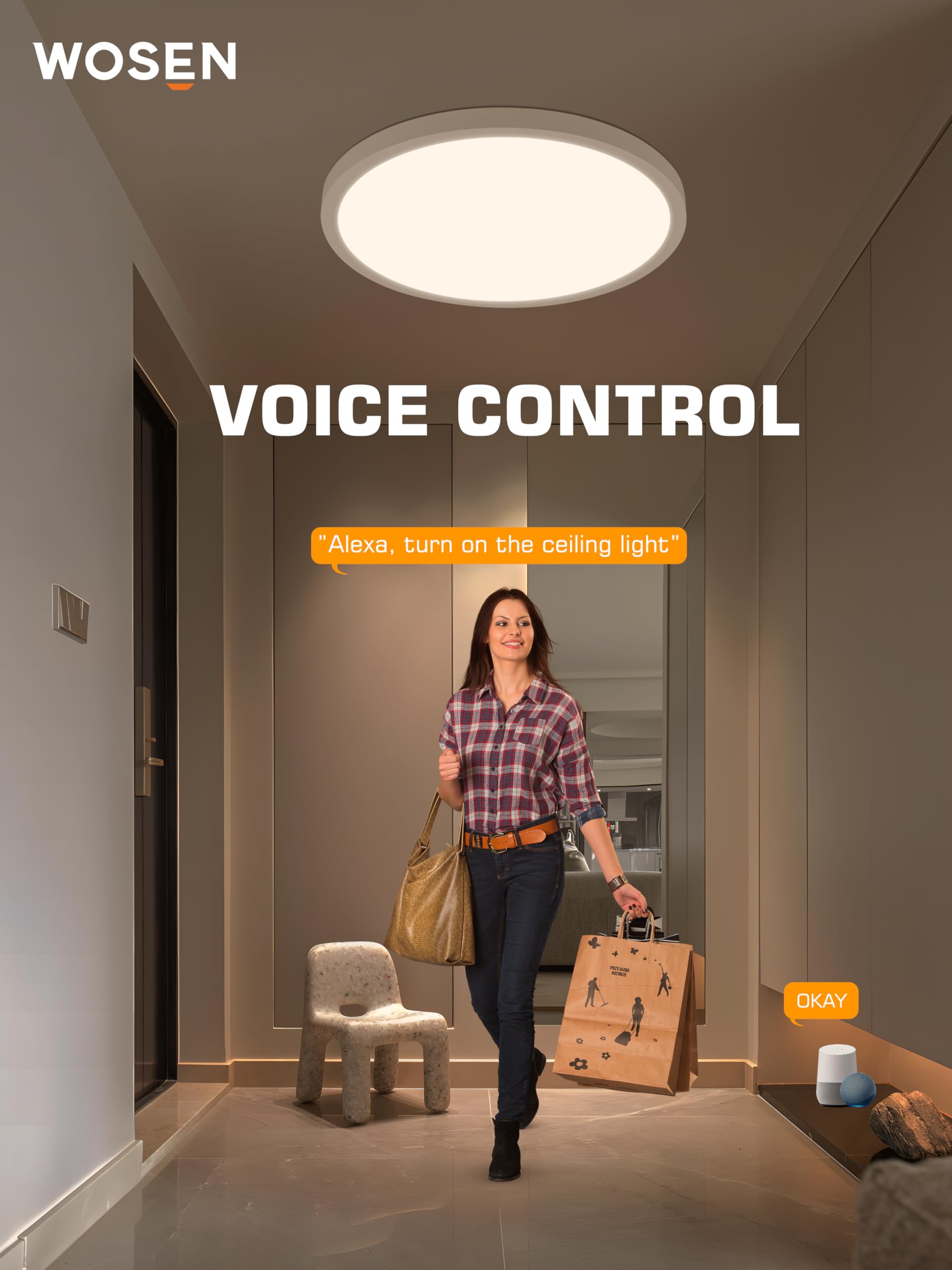 1 Pack 12 Inch Rgb Led Flush Mount Smart Ceiling Light With Night Light 2700K, 24W 2400Lm Ultra-Slim Ceiling Light Fixture With