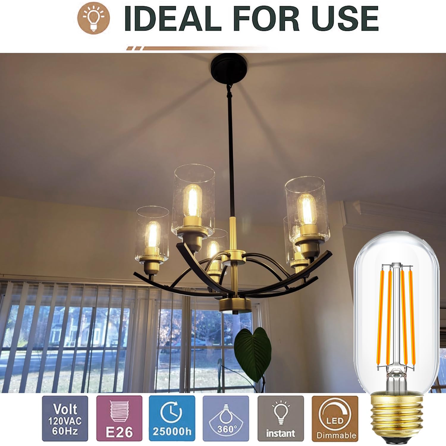 Leools Dimmable E26 LED Bulb 8W Vintage Edison Clear Glass 2700K Warm White 800LM, 6-Pack for Ceiling Fans & Chandeliers