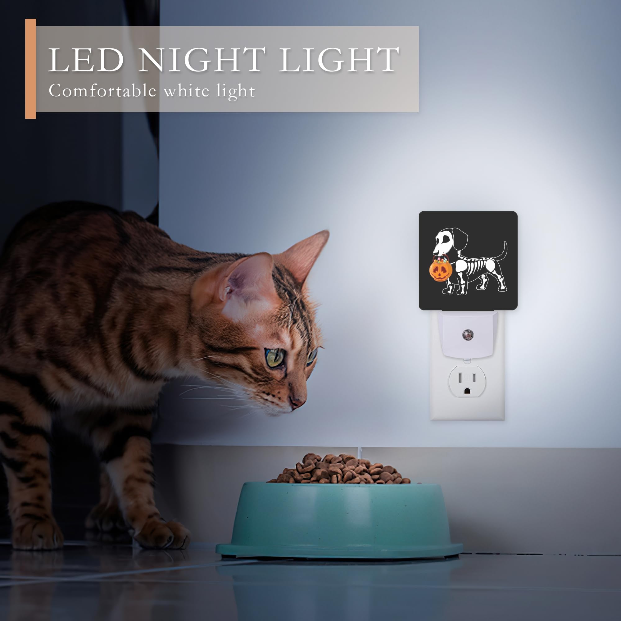 Aowula Night Light,Halloween Dachshund Dog Night Lights Plug Into Wall For Boys Girls Bedroom Decorative Half Round Nightlight Led Lamp 0.5W Sleep Friendly