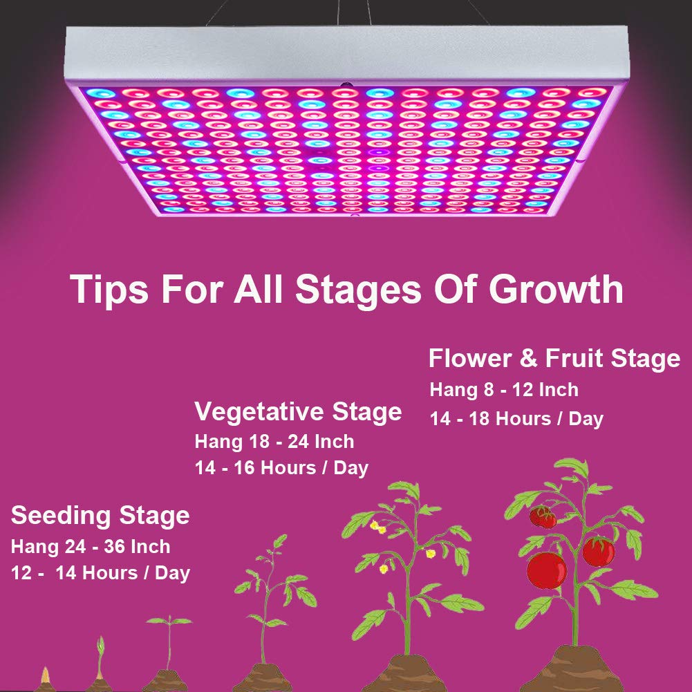 I-Venoya Led Grow Light For Indoor Plants Growing Lamp 225 Leds Uv Ir Red Blue Full Spectrum 75W Led Plant Lights Bulb Panel For Hydroponics Greenhouse Seedling Veg And Flower (2 Pack)