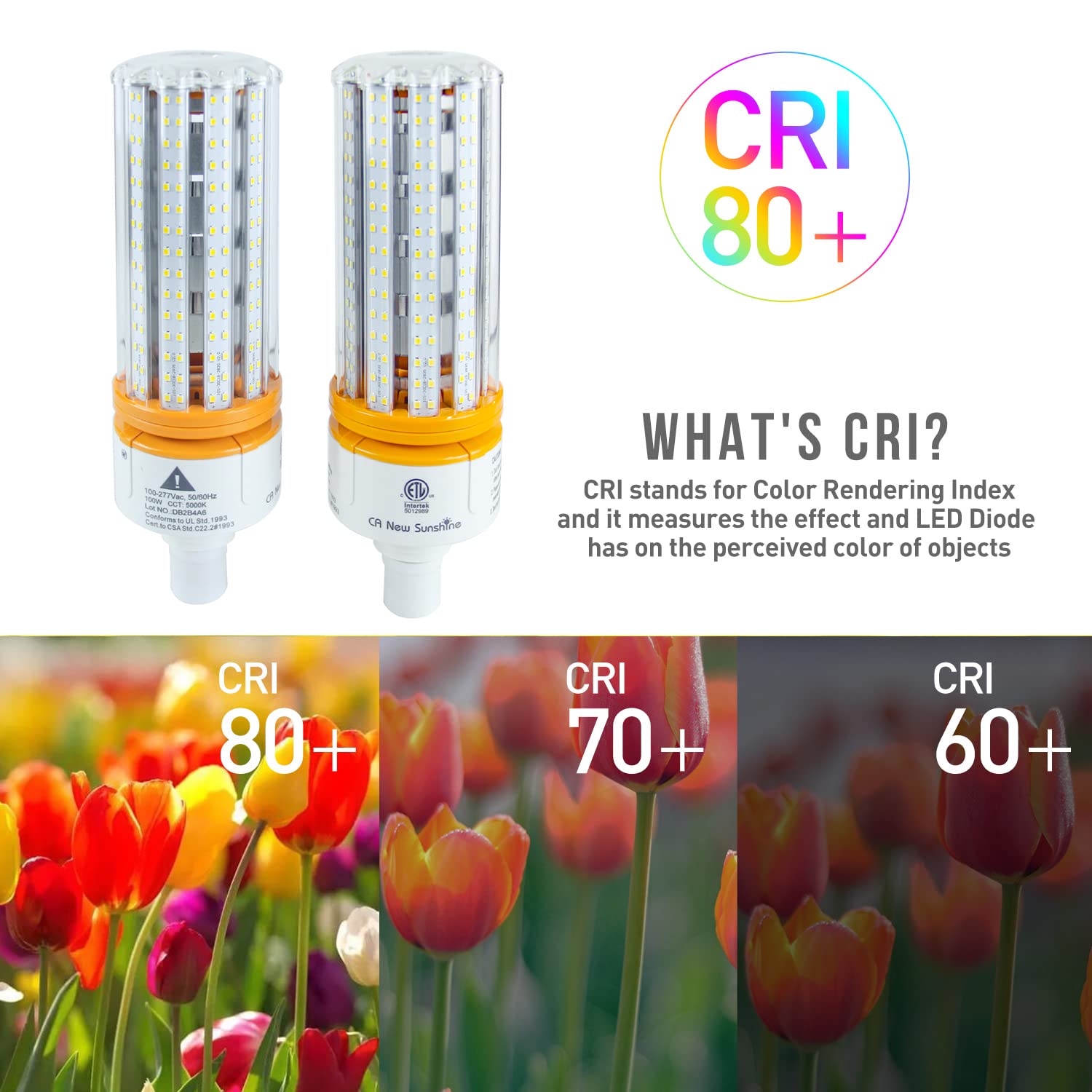 1000W Equivalent Led Corn Bulb, Led Corn Light Bulbs 15000 Lumen 5000K Daylight White Lamp,E26/E39 Medium Mogul Base,2-Pack 100W