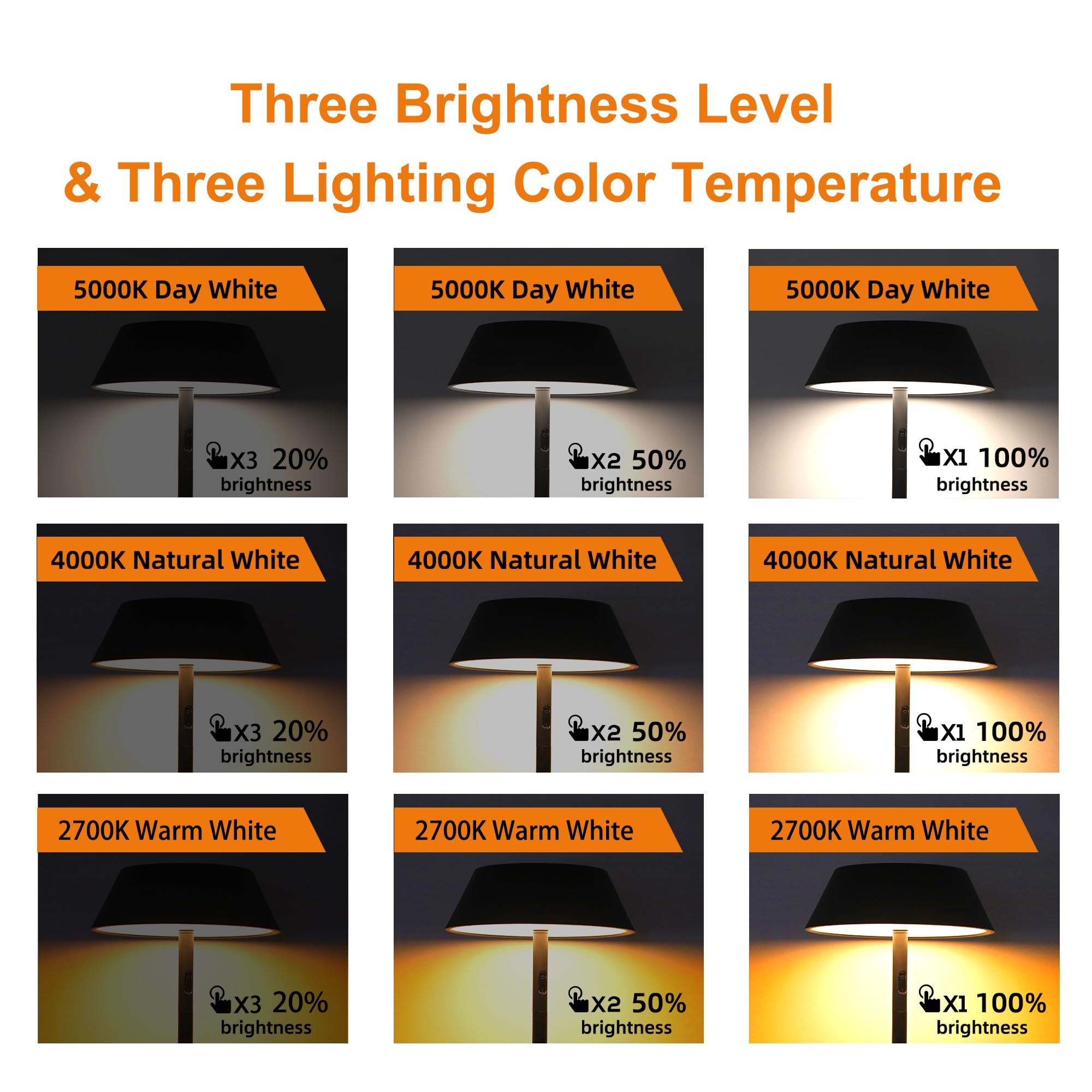Bobcat Lighting Outdoor Solar Floor Lamp - Tall, Bright, Cordless, 3 Light Colors, Usb-C Charge