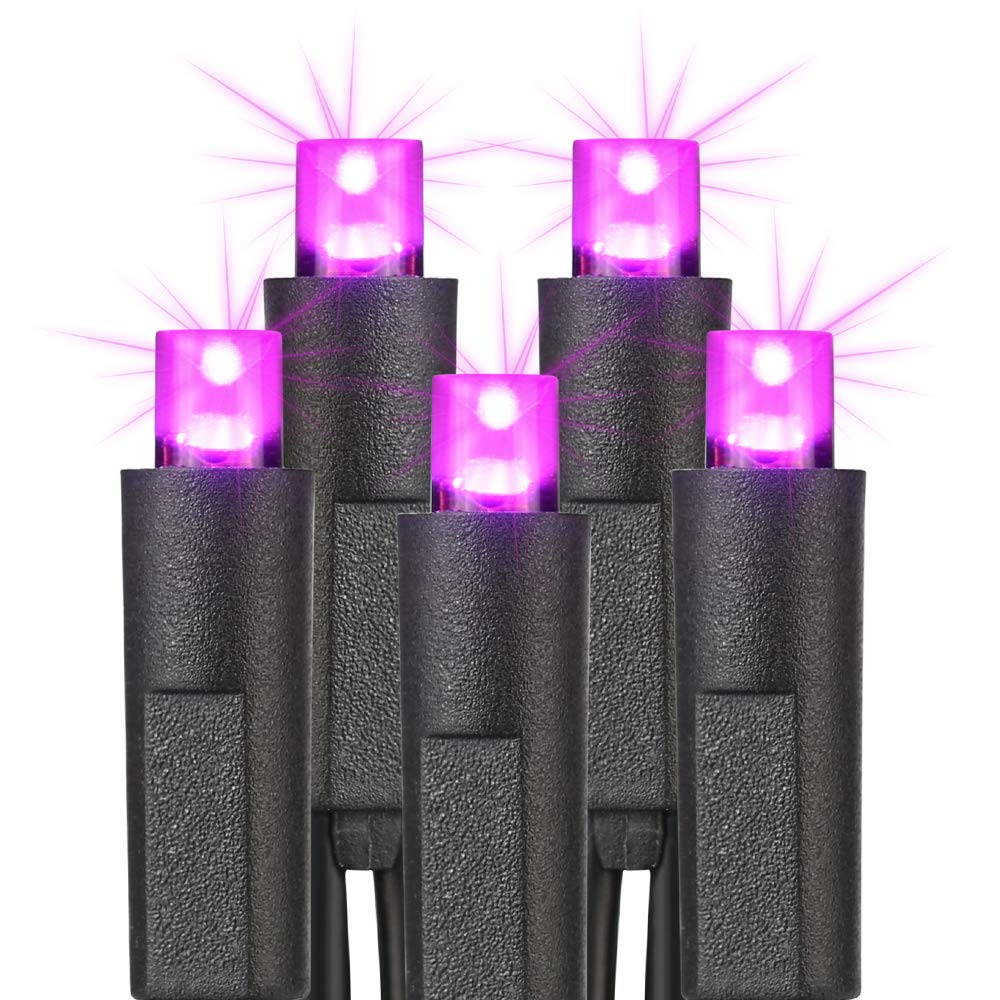 Brizled 33ft 100 LED Purple Halloween String Lights, UL Certified, Copper Wire, Model I3-100-4