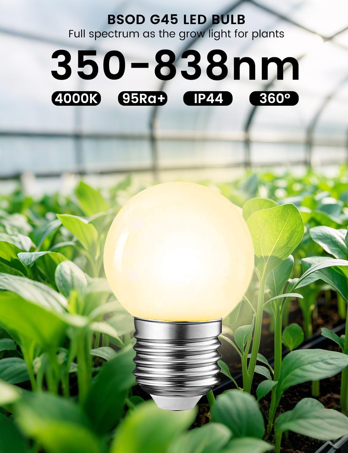 Full Spectrum Light Bulb, Led Light Bulb G45 Small Lightbulbs E26 White 5W Eq 40W Sunlight Night Appliance Bulb For Home, Growin