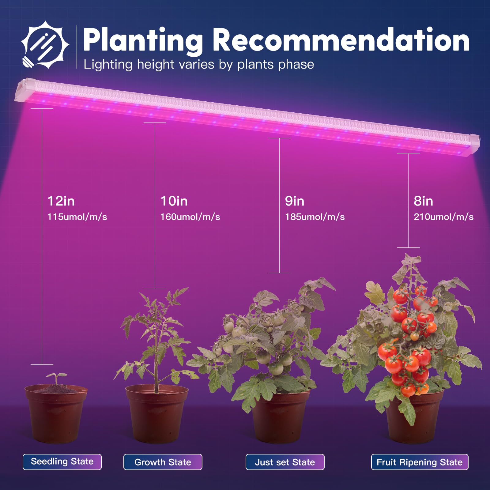 FREELICHT 2 Pack 4FT LED Grow Light, 40W Full Spectrum, Red Blue Spectrum, Aluminum, Ideal for Indoor Hydroponic Plant Growth