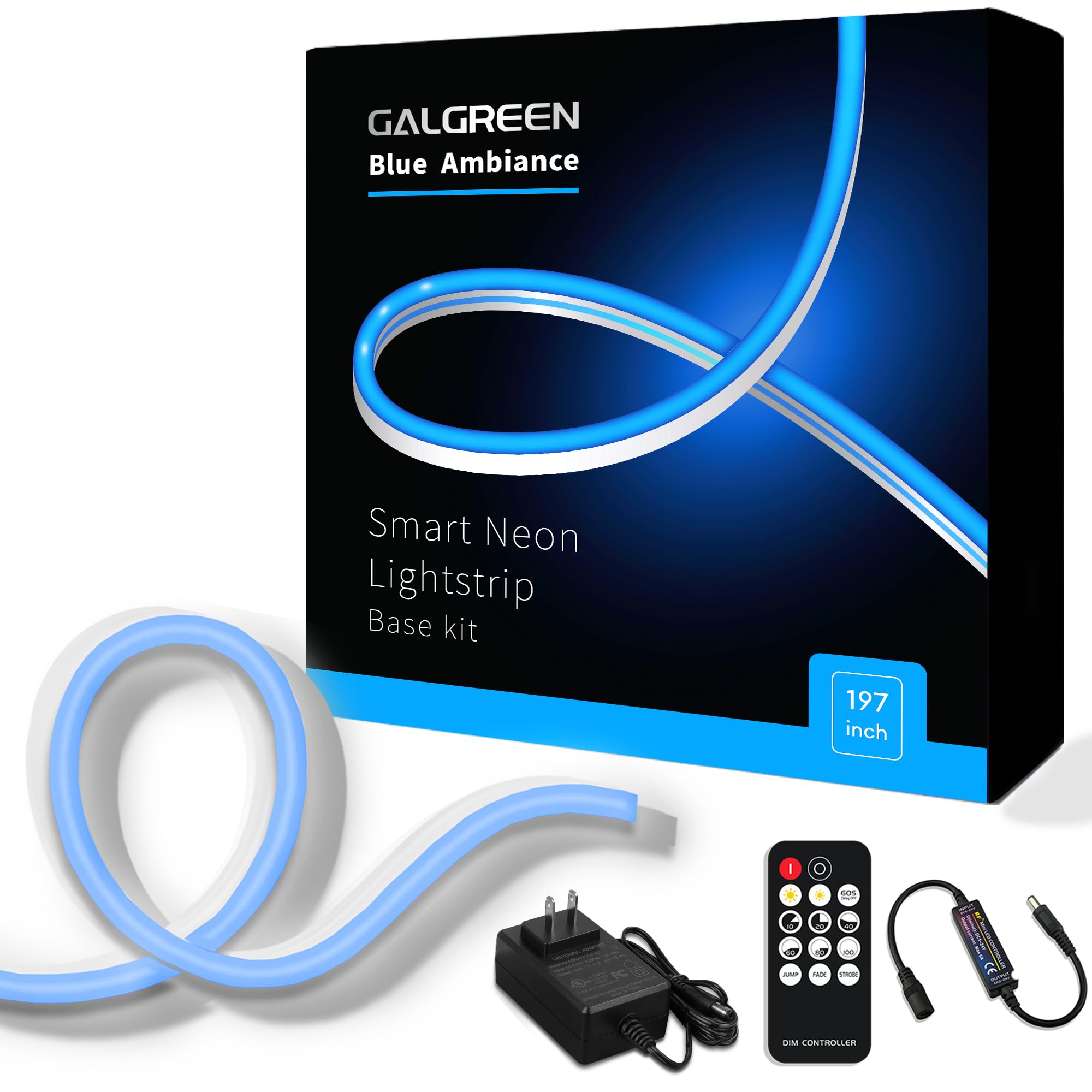 Galgreen Neon Rope Lights, Flexible LED Strip, 16.4ft, Waterproof, Dimmable Remote, Blue, Model st-ting-l166