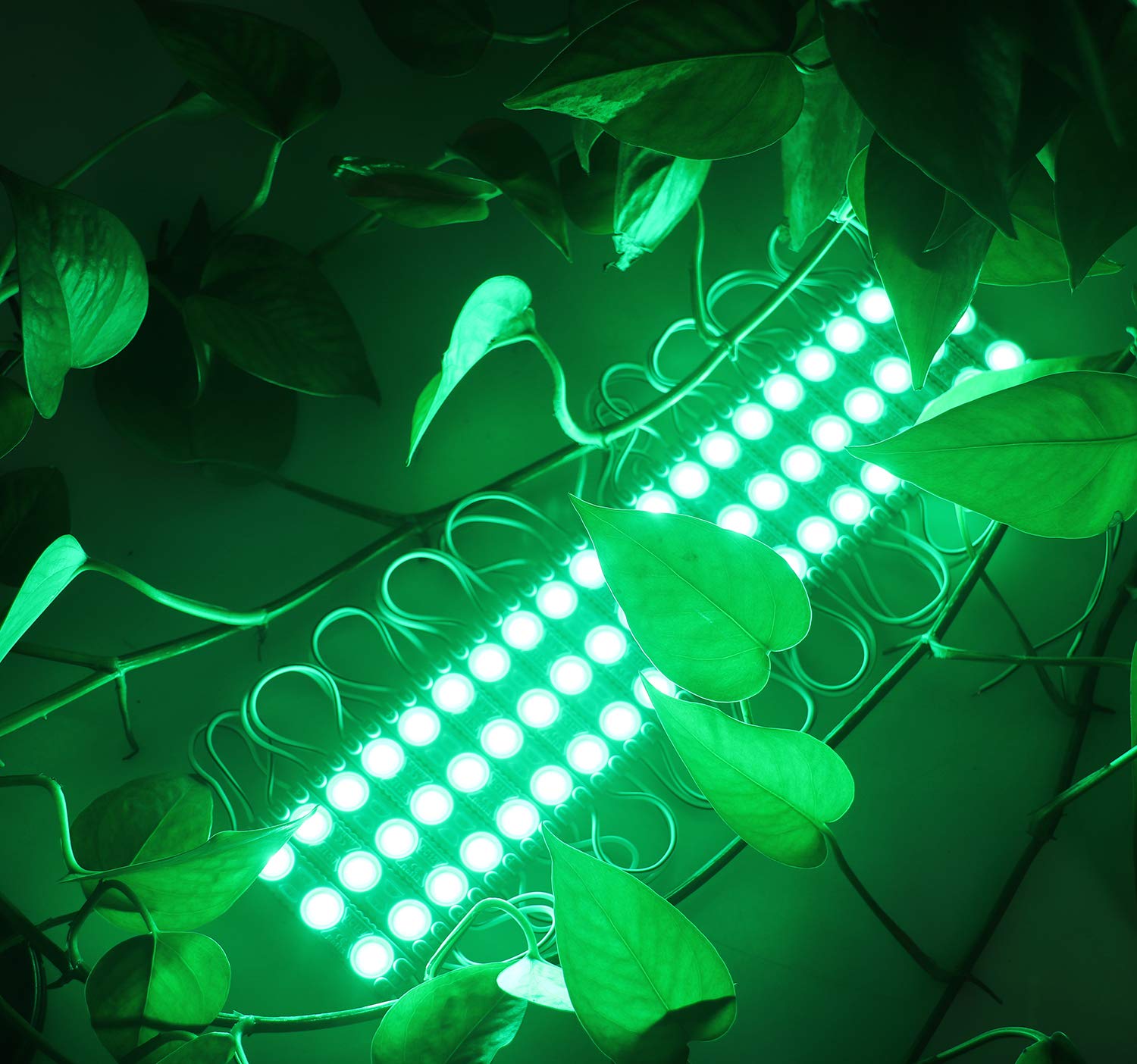 REXTiN Super Bright 3LED Module - 200pcs Green Waterproof Light for Signage, PVC, Adhesive Backside