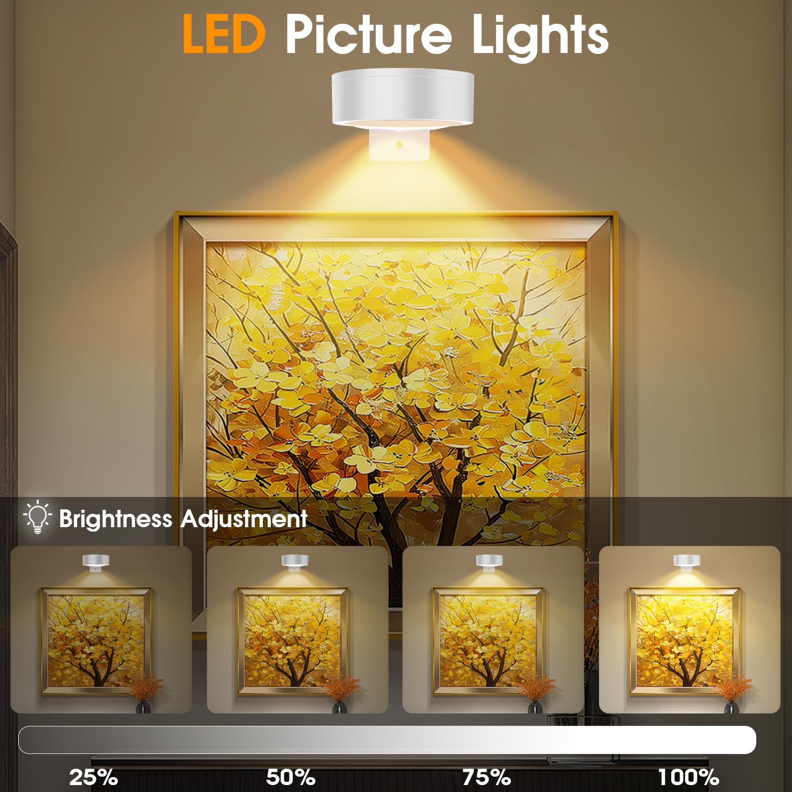 SIXDEFLY RGB LED Art Display Light, 6 Pack, Rechargeable, Remote Control, Dimmable, White