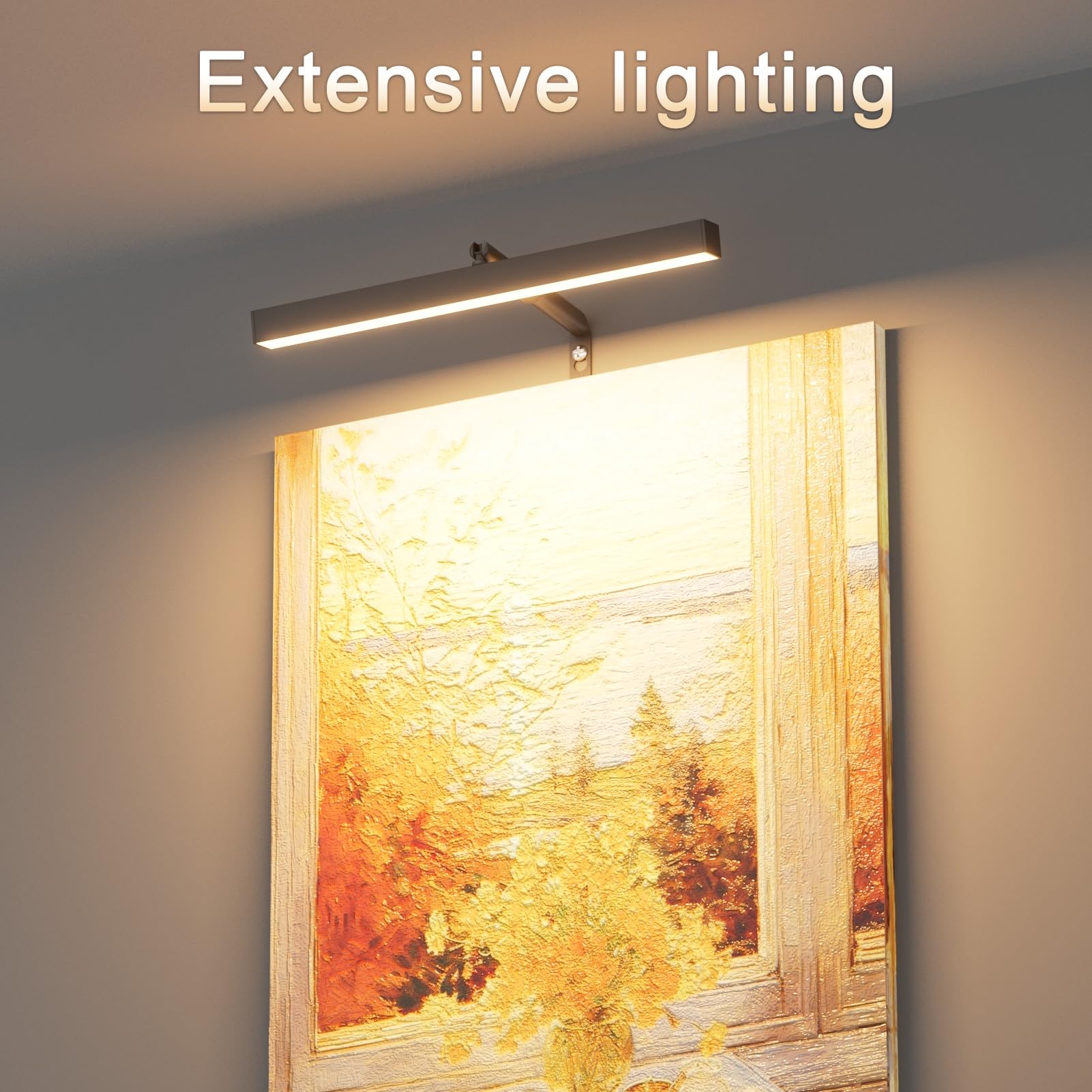 Coinmit 12" LED Plug-in Picture Light, Black Metal Wall Mounted Art Display with Remote Control, Model 9953