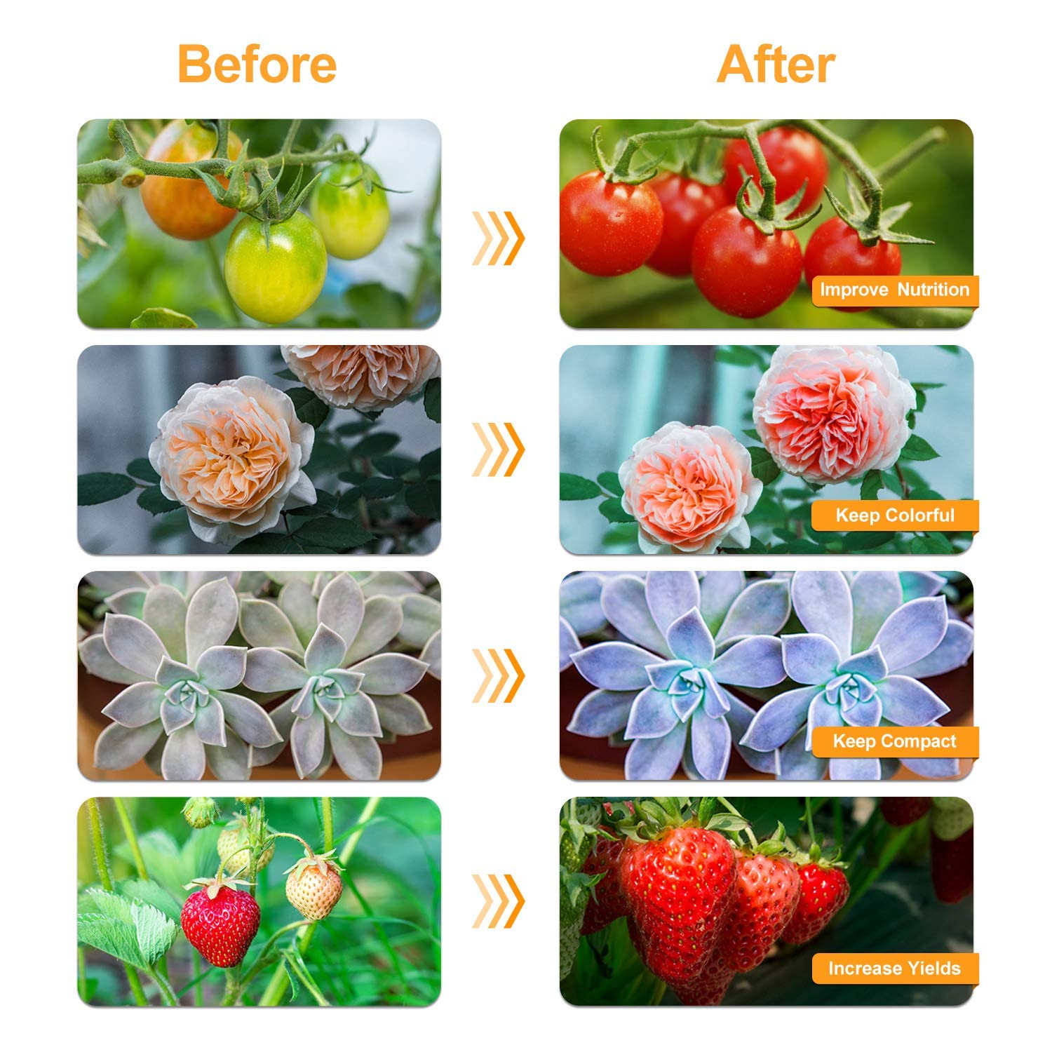 bseah Grow Light for Indoor Plants, Full Spectrum, 2 Goosenecks, Yellow, 9 Dimmable Levels, Auto ON/OFF with Timer