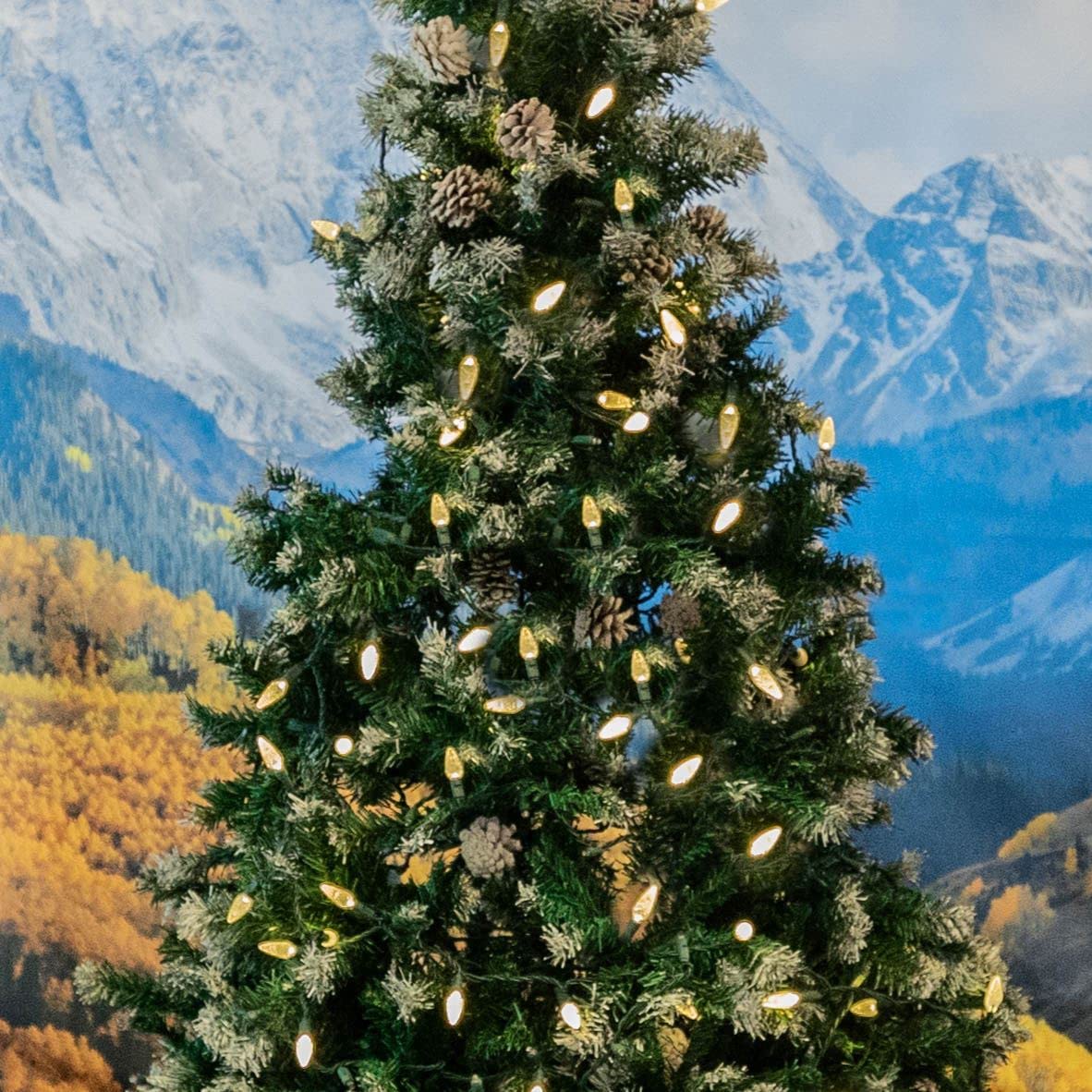 Novelty Lights 24FT C6 LED Christmas String Lights, Warm White, Green Wire, Model MRD-35B-2, Outdoor Decorations