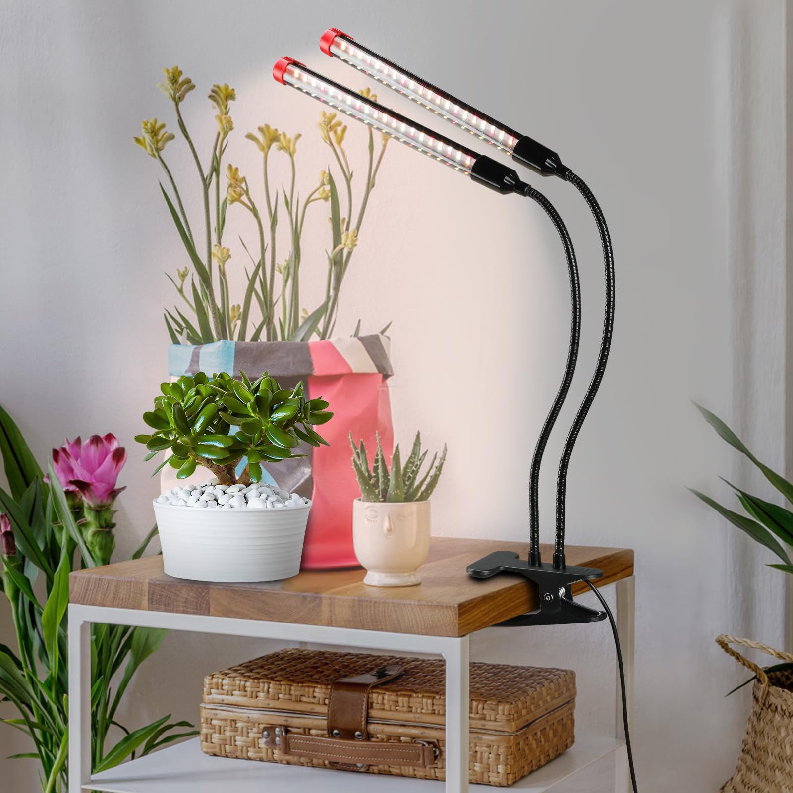 Fecida Clip On Grow Lights For Indoor Plants 2000 Lumen 18W, 2024 Brightest Led Plant Grow Light For Houseplants, Bonsai, Pot Plant, Full Spectrum Growing Lamp With 4,8,12 Hr Timer