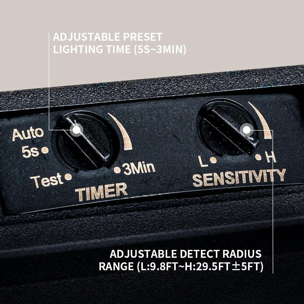 C Cattleya 2-Light Outdoor Motion Sensor Ceiling Light Fixture, Black With Textured Glass