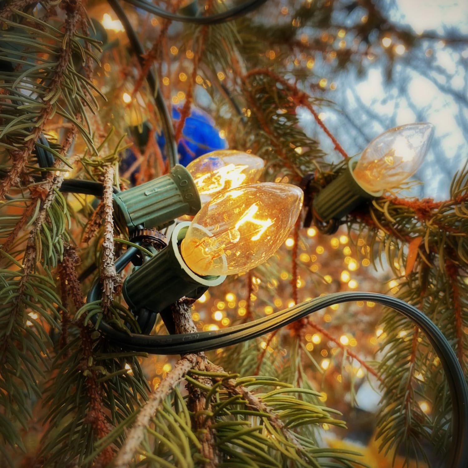 25 Pack C7 Christmas Light Bulbs C7 Clear Replacement Bulbs Nightlight Bulbs Incandescent Light Bulbs For Christmas Village Hous
