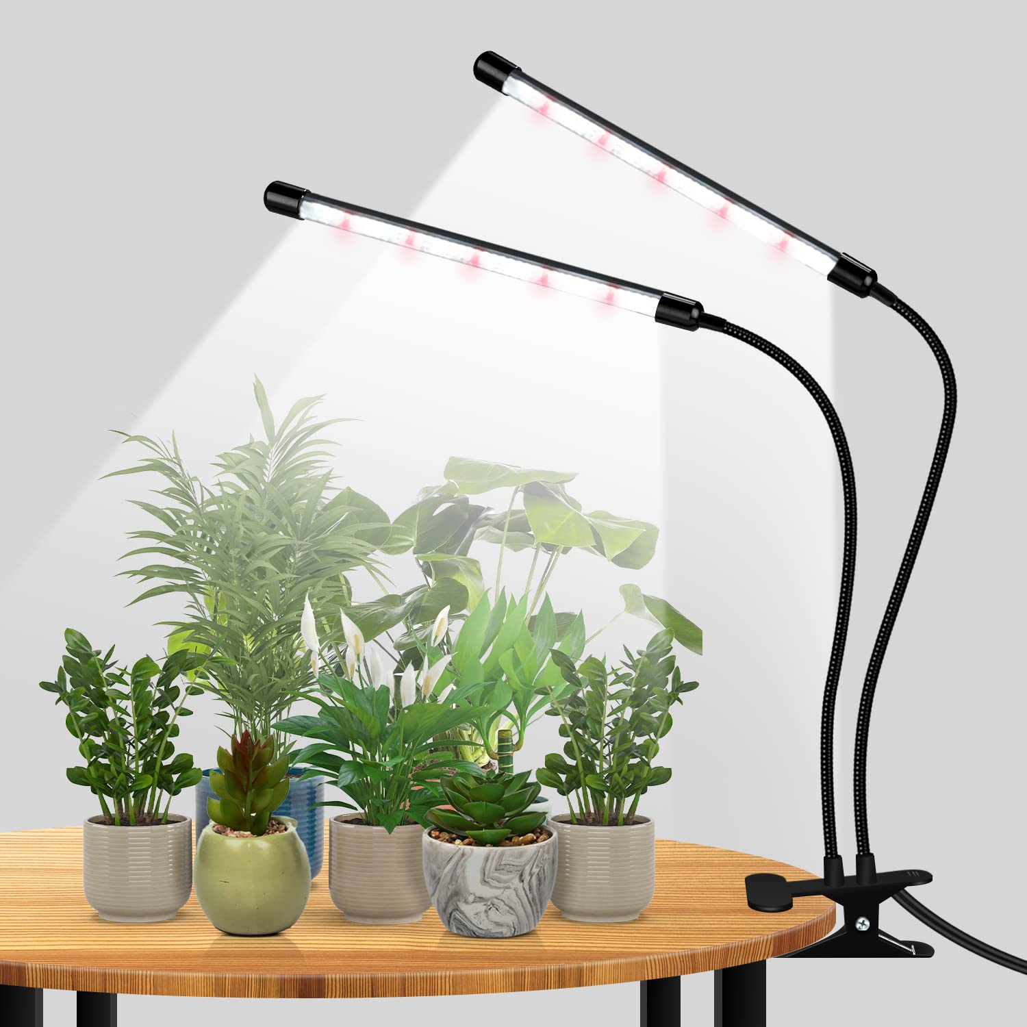 Bseah Grow Light Plant Lights for Indoor Plants, 84 LEDs Full Spectrum Clip Plant Growing Lamp, 10Level Dimmable, Auto On Off T