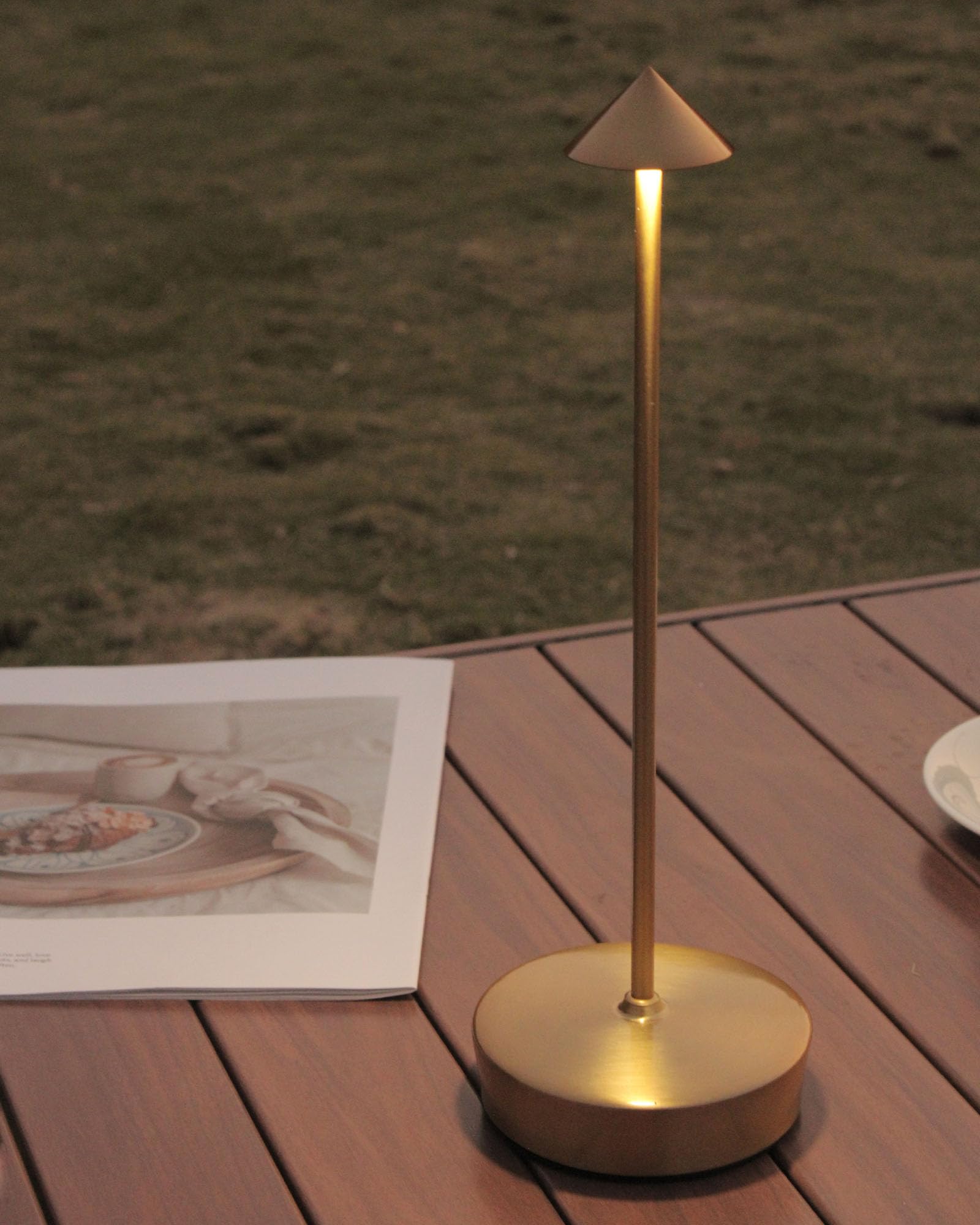 XMINKDZA Cordless LED Table Lamp 2 Pack, Waterproof, 7000mAh Battery, Dimmable, Bronze, Model XDJDSJBBM