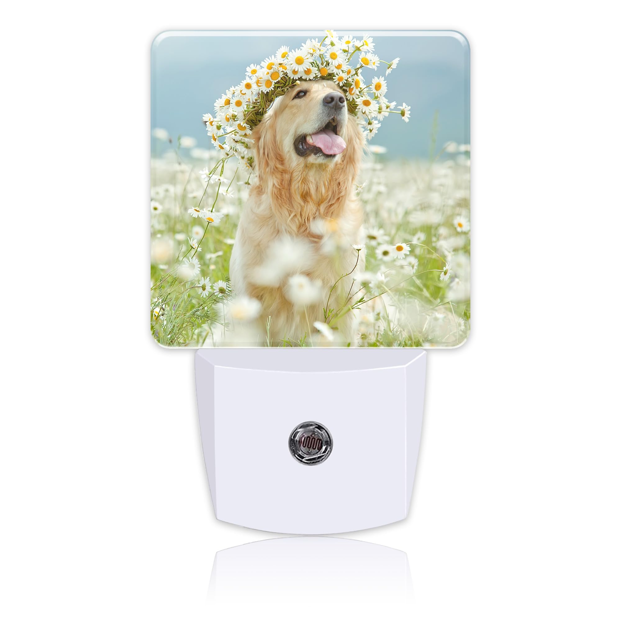 Uiaoiais Plug in Night Lights Golden Retriever with Daisy Wreath Night Light with Dusk to Dawn Sensor Night Light for Kid Girls 