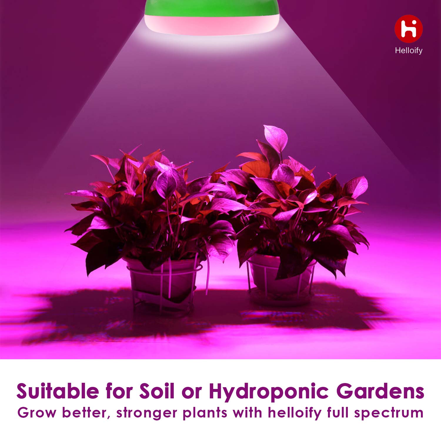 helloify BR30 LED Plant Grow Light Bulb 9W, 2 Count, Ceramic, Pink, Indoor Gardening, White & Red Spectrums