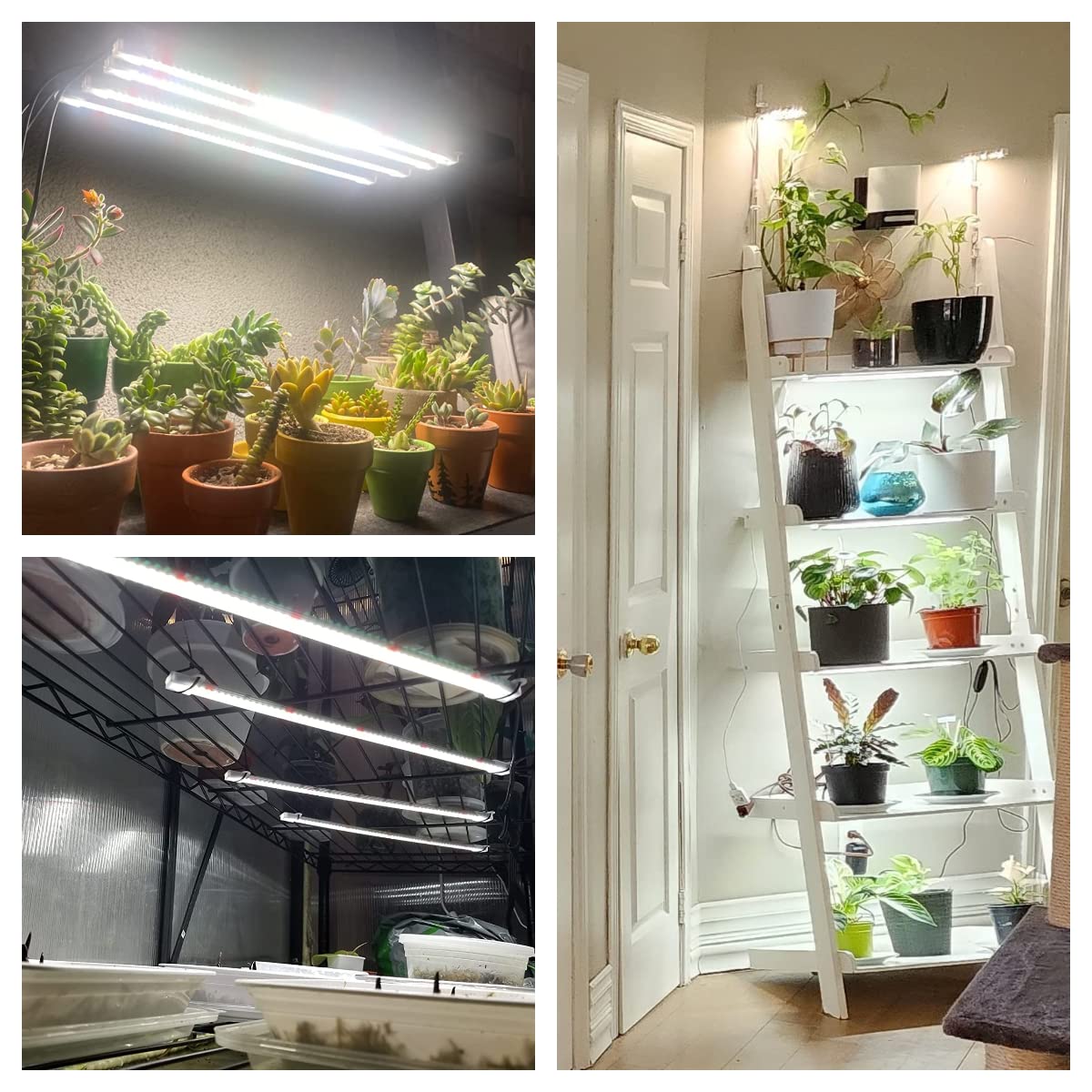 Wiaxulay Grow Light Strips, 120 LEDs Full Spectrum, Auto ON/OFF Timer, 10 Brightness Levels, 3 Switch Modes, 1 Pack, White, Model BL-D