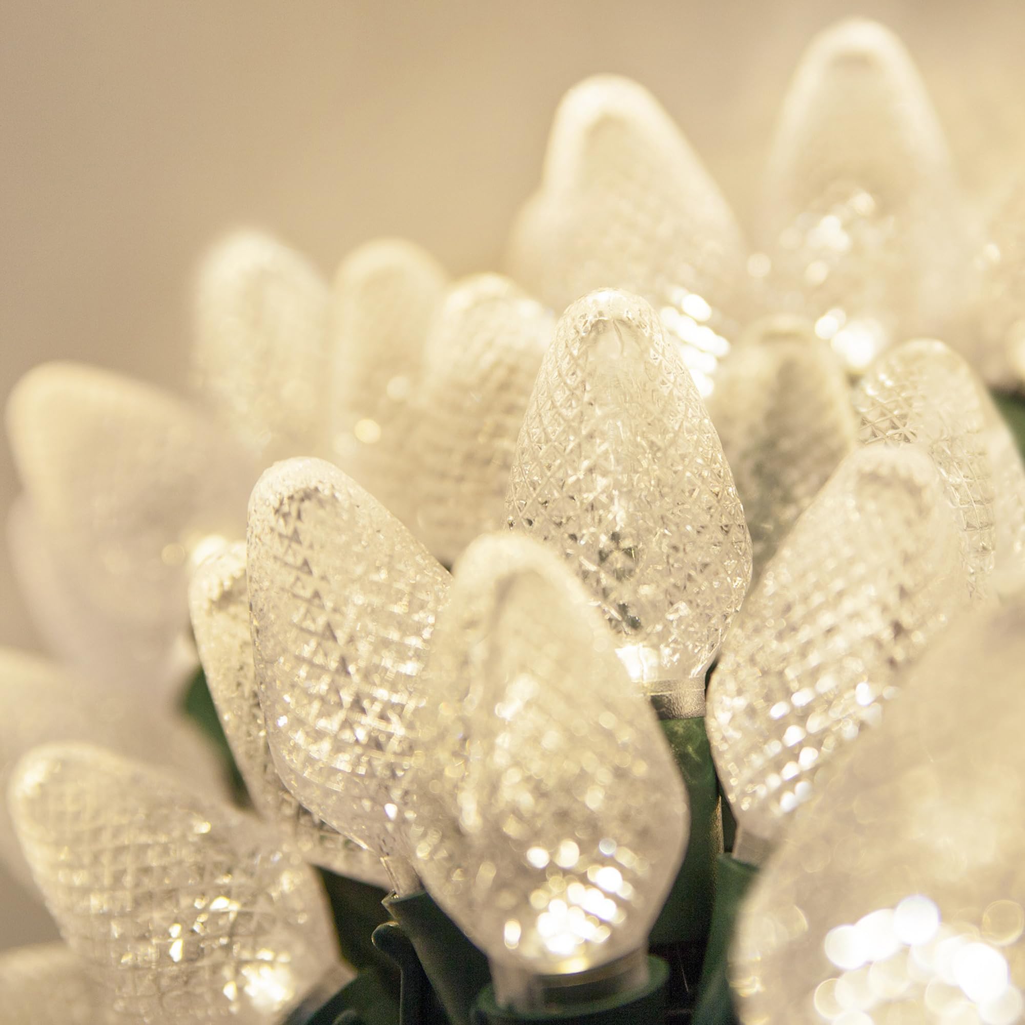 Wintergreen Lighting C7 Warm White Christmas Lights Set of 25, 17 Ft, LED White Christmas Lights Outdoor-Indoor White LED Christmas Lights Party Wedding C7 Christmas Lights Warm White String Lights