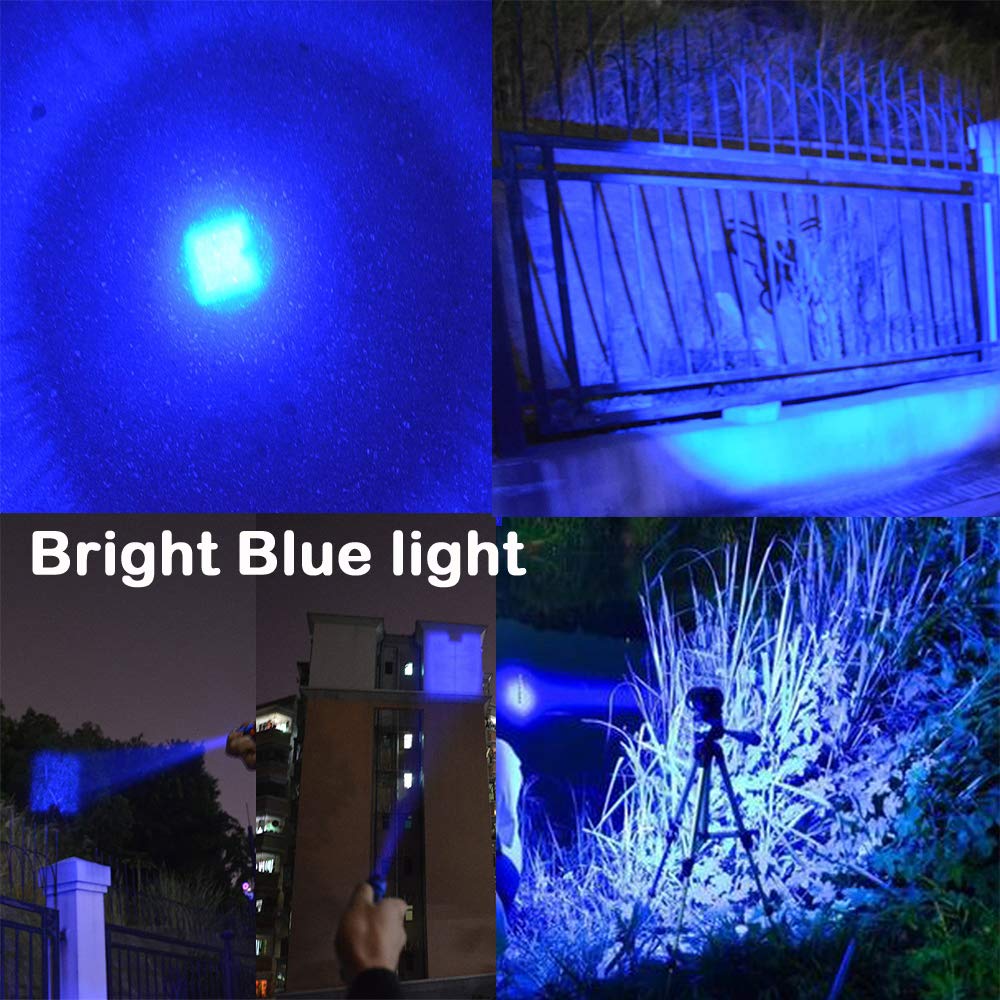 WAYLLSHINE 3-Mode Flashlight Pack of 5 - Red, Green, Blue, UV & White LED Lights, Model SK68-ColorLight-3M-5P-Multi