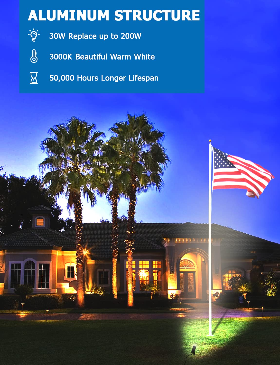 SUNVIE 30W LED Spotlight Flood Light - 3000LM Warm White, Aluminum, Black, 6FT Cord, 2 Pack for Outdoor Flag, Tree, Garden Lighting