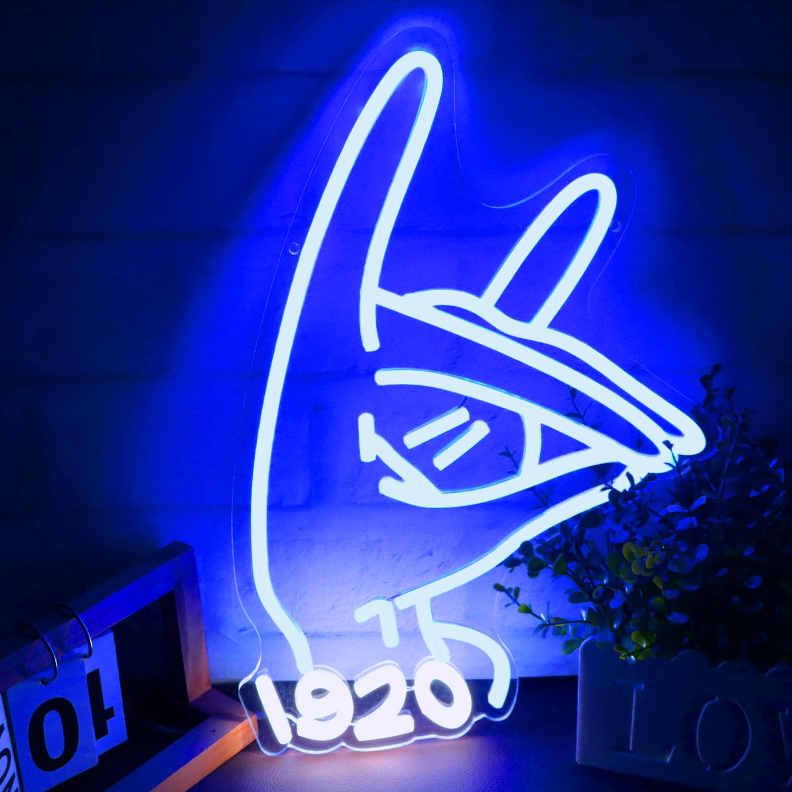 Tiabuy KAP Fraternity Neon Sign, Acrylic Wall Decor, Red, 17 x 12 inches, Model Tia-I02