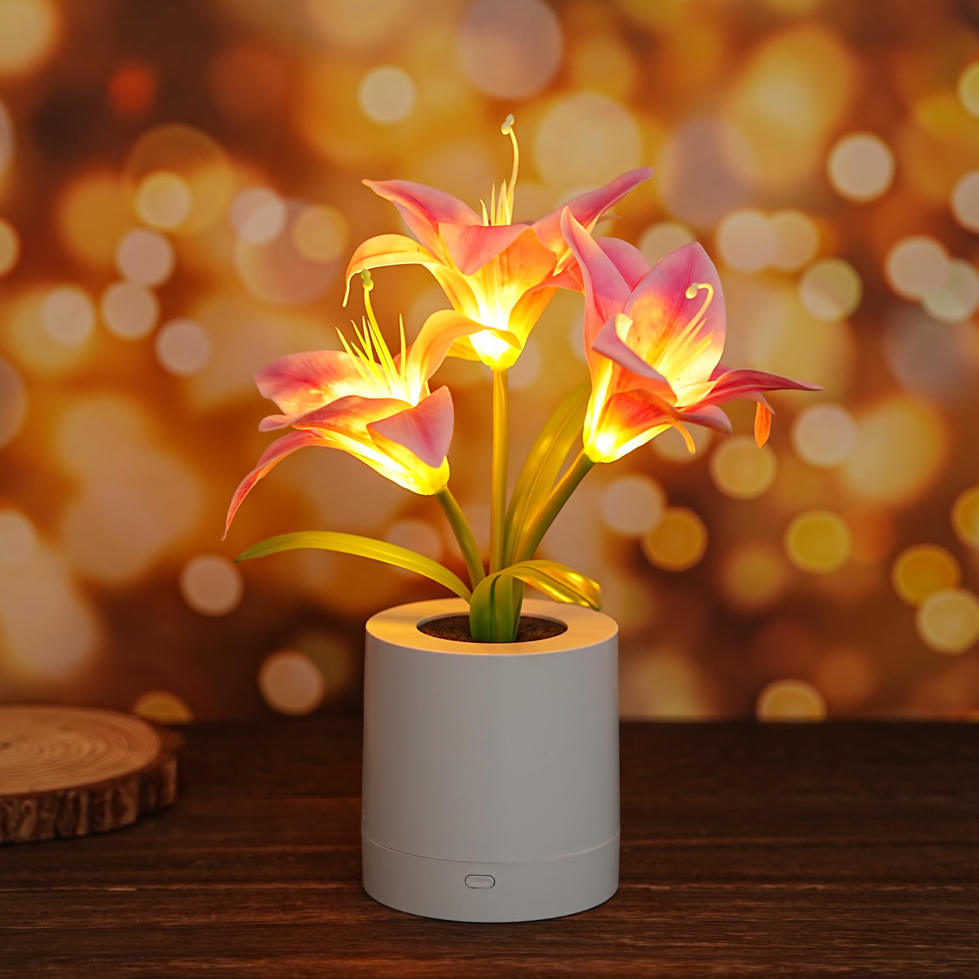 WSYEAR Pink Morning Glory Flowers Table Lamp  Charging Dimmable Cordless Artificial Flower Night Light  Bedroom Office Decor Night Light  Christmas Birthday Gifts for Women Mom
