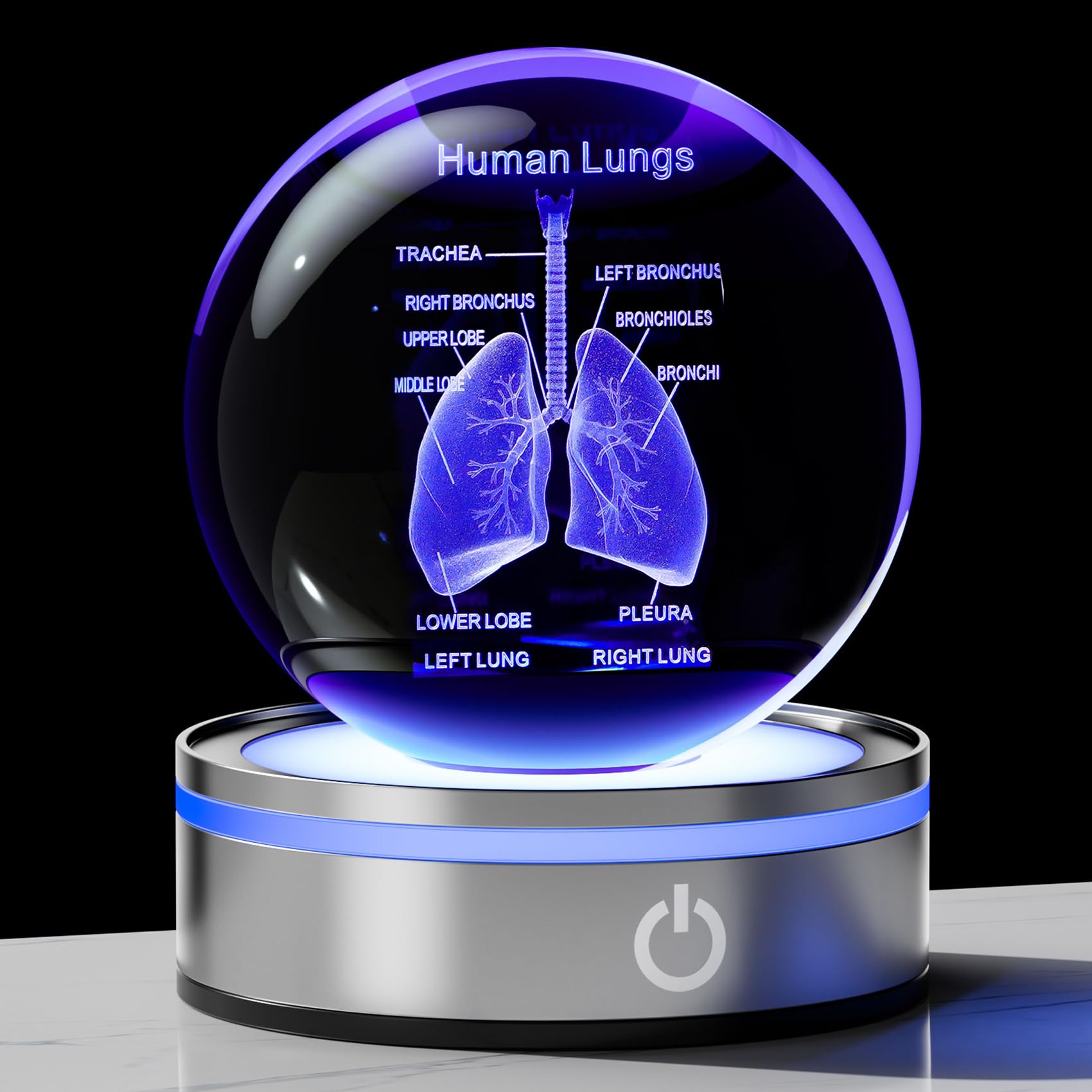 Enjinkail 3D Human Lung Model Crystal Ball Doctor Gifts For Women Men, Laser Etched Glass Anatomical Lung Figurine Science Biolo