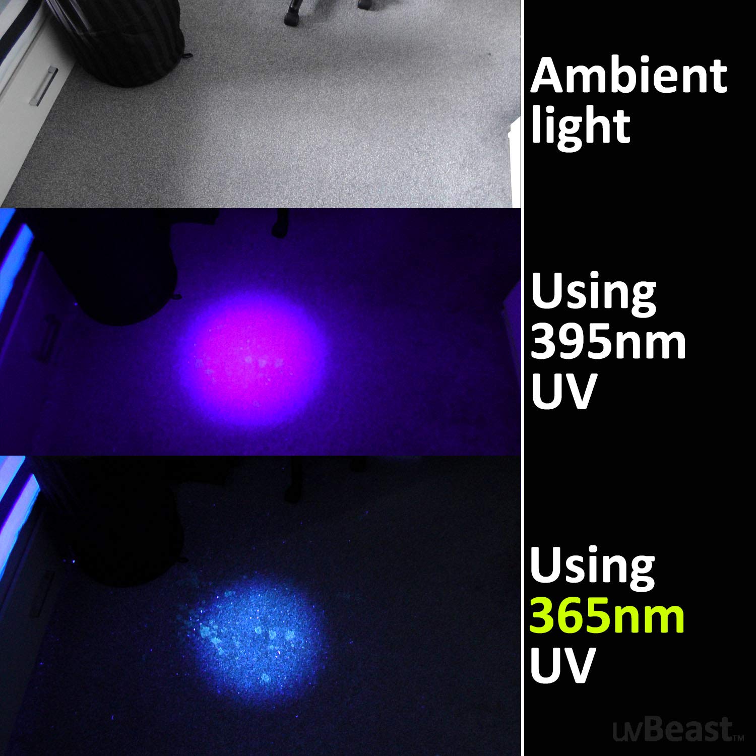 uvBeast UV Flashlight V3 365nm - High Power Ultraviolet Beam, Metallic Black, Professional Grade, USA Stock