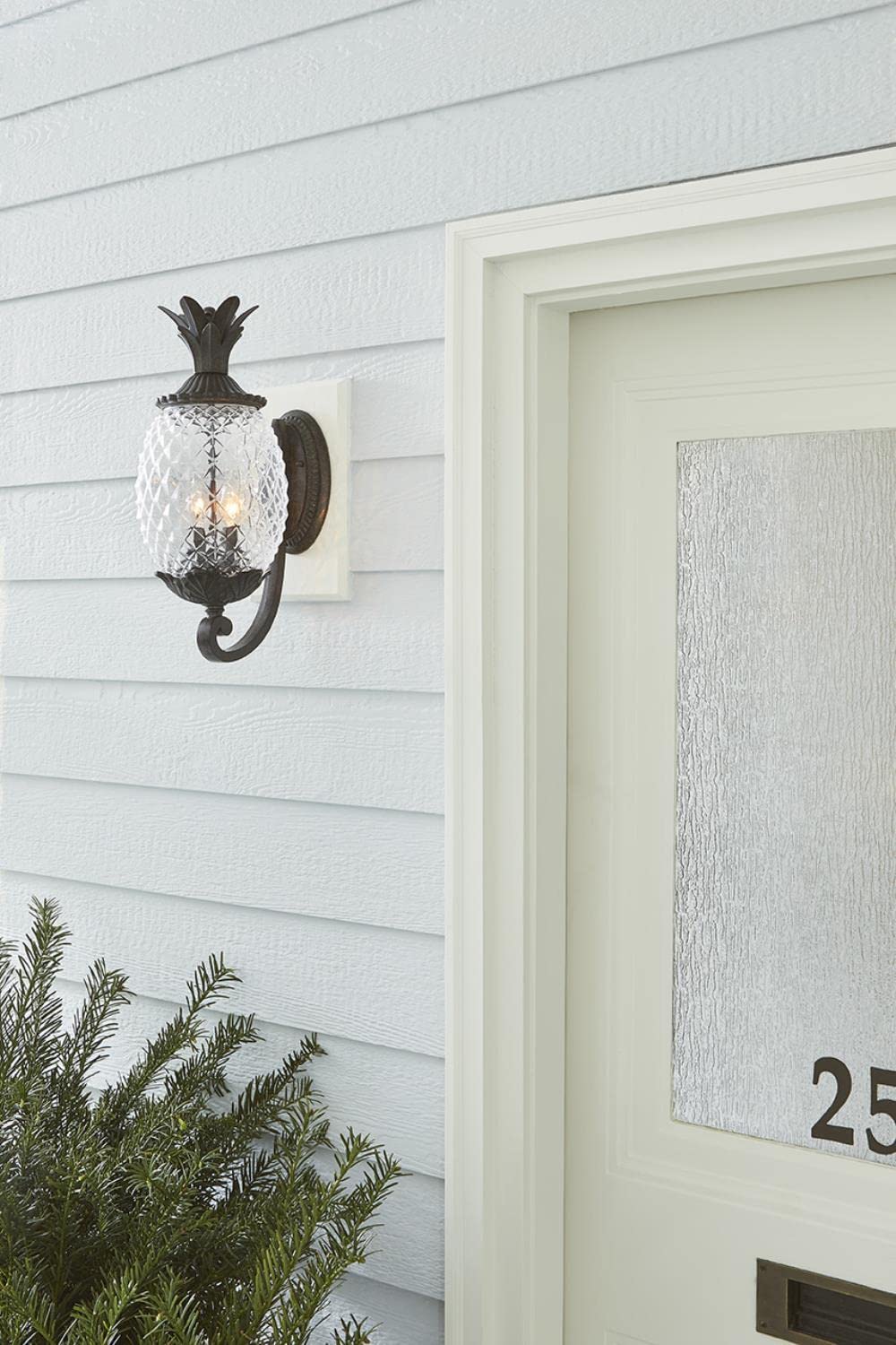 Acclaim 7501Bc Lanai Collection 2-Light Wall Mount Outdoor Light Fixture, Black Coral