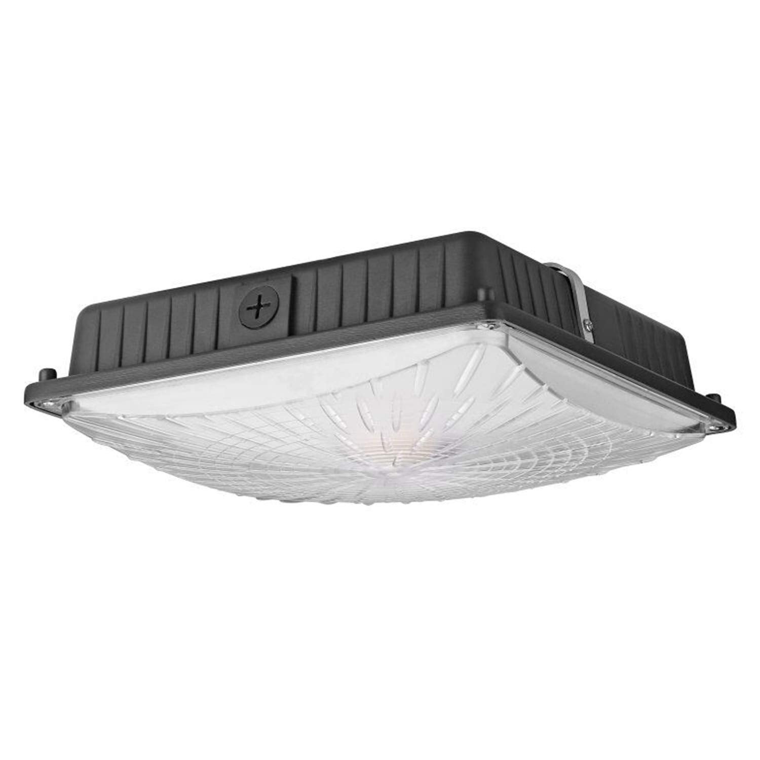 1000LED LED Canopy Light Fixture, 26W/39W/52W/65W Selectable, 4000K/5000K, Metal, Waterproof IP65, Model W