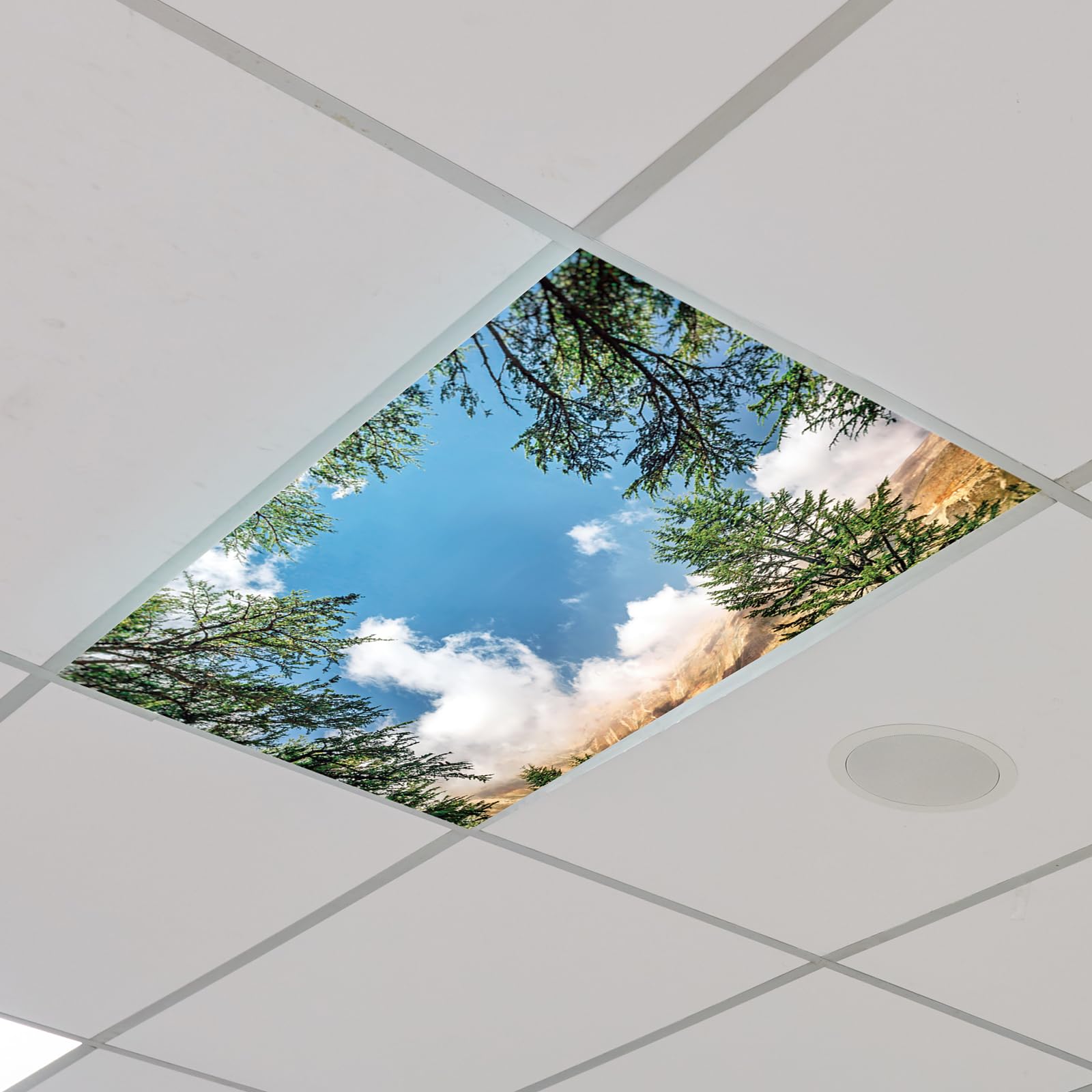 Outus Fluorescent Light Cover with 10 Magnets, 2 x 4 ft, Red, Model TJRW-Outus-5515, Reduces Glare for Classroom and Office